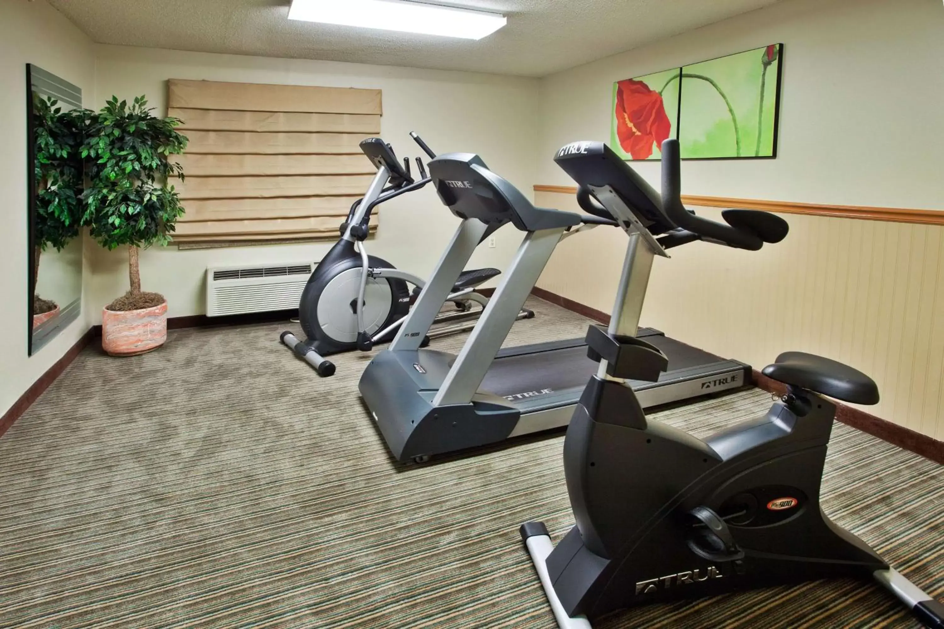 Fitness centre/facilities, Fitness Center/Facilities in La Quinta by Wyndham Savannah Southside