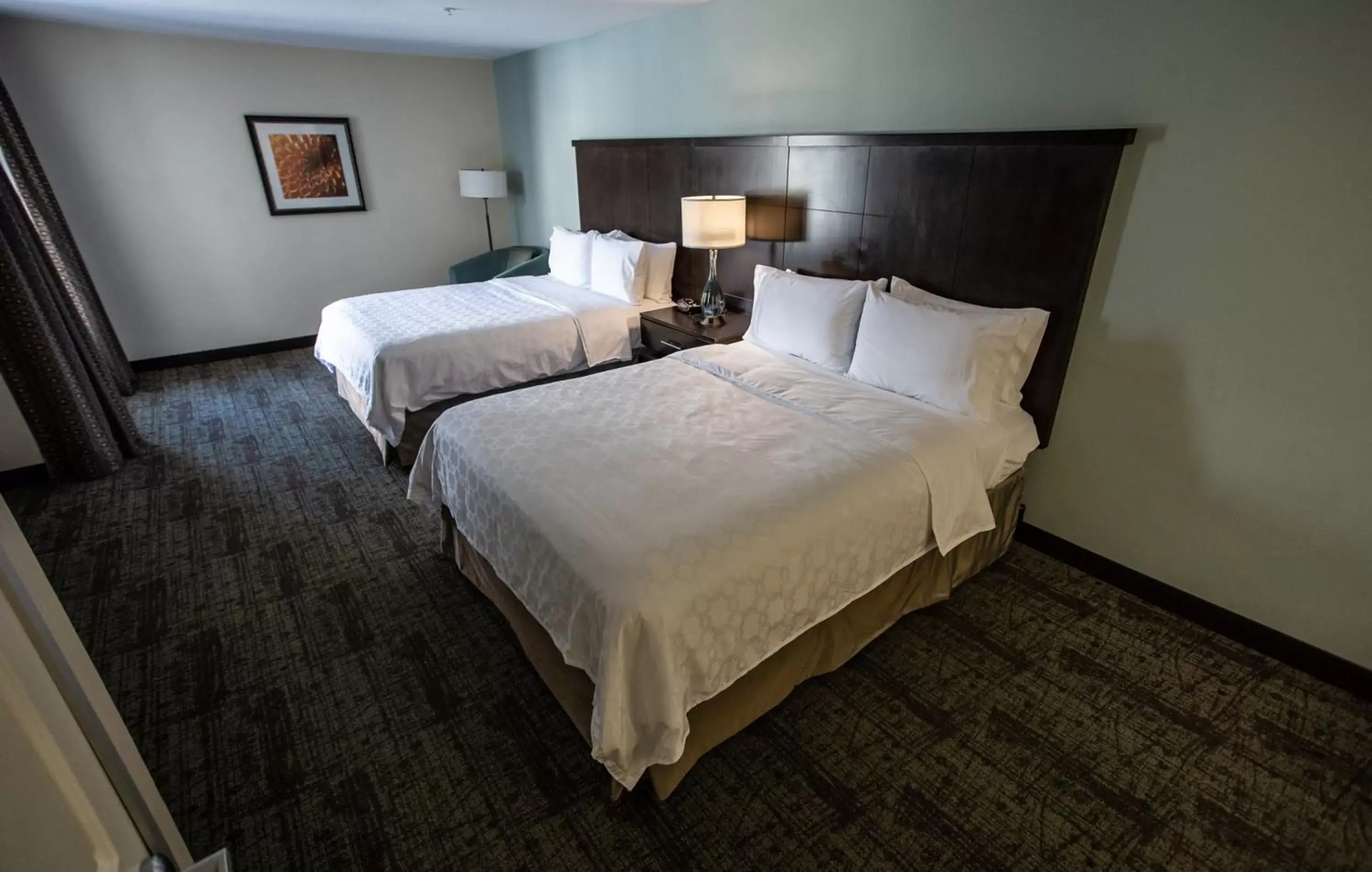 Bed in Staybridge Suites Silicon Valley - Milpitas, an IHG Hotel