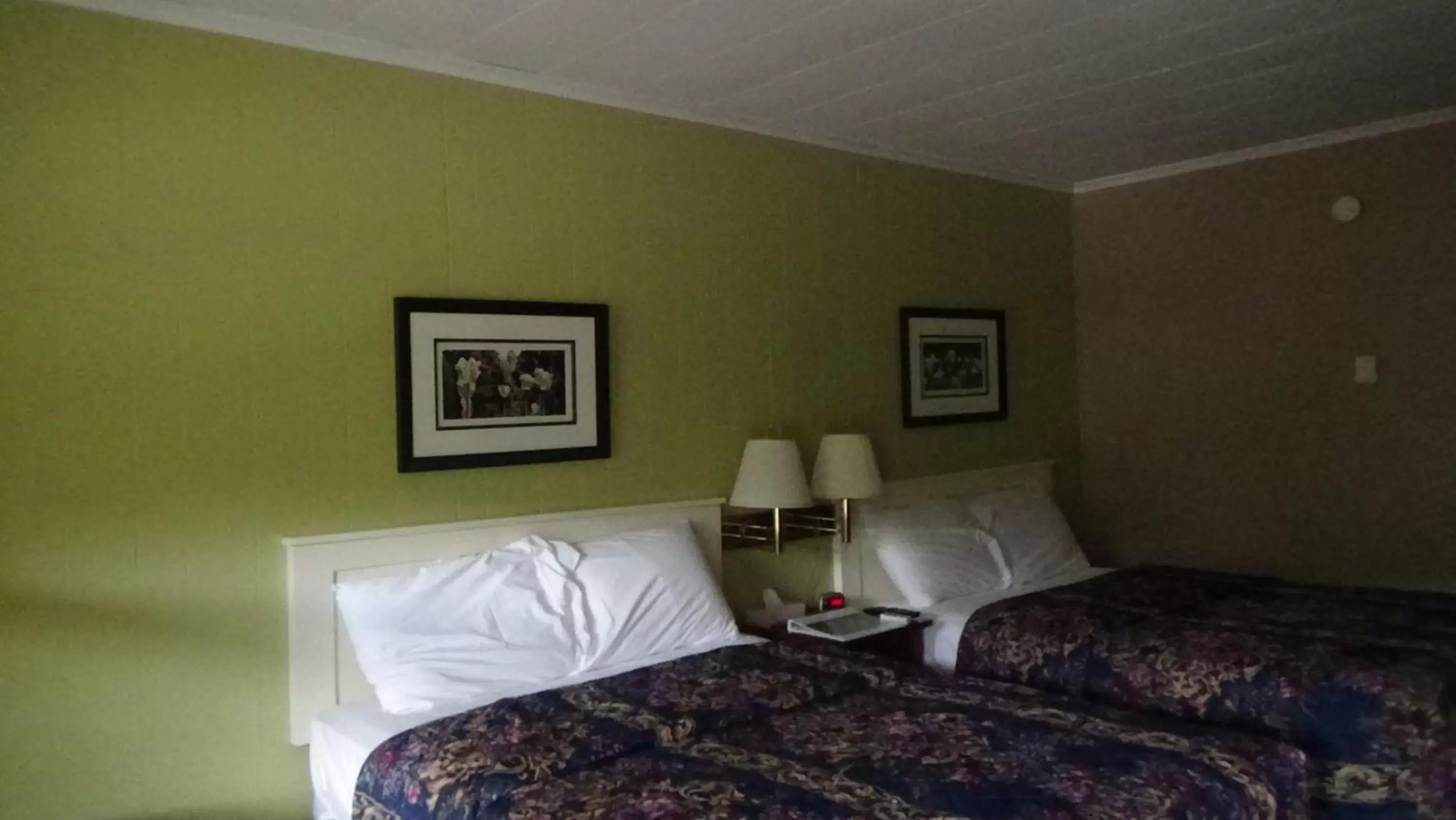 Bed in Roseloe Motel