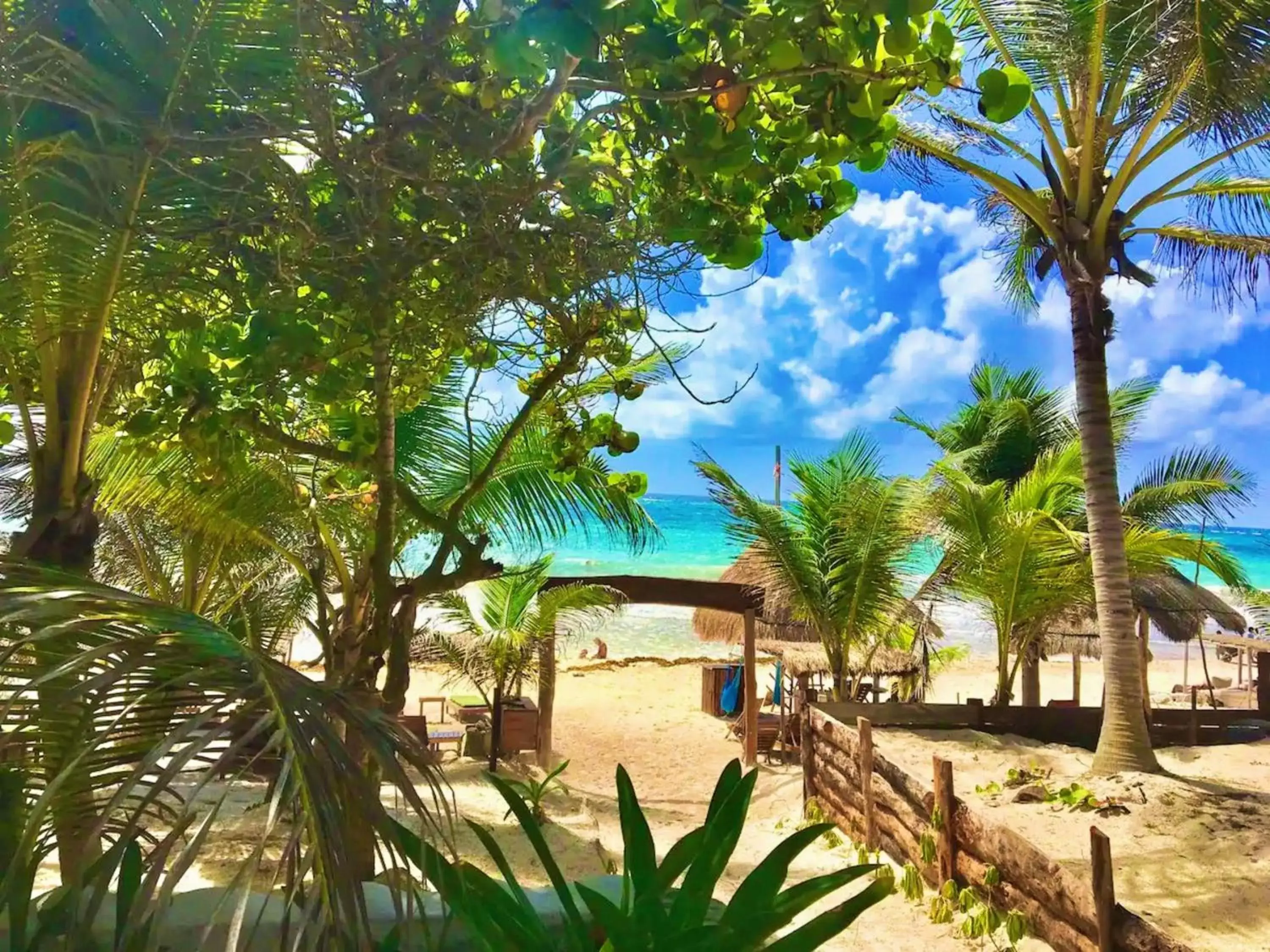 BBQ facilities, Swimming Pool in La Casa de Mia Tulum