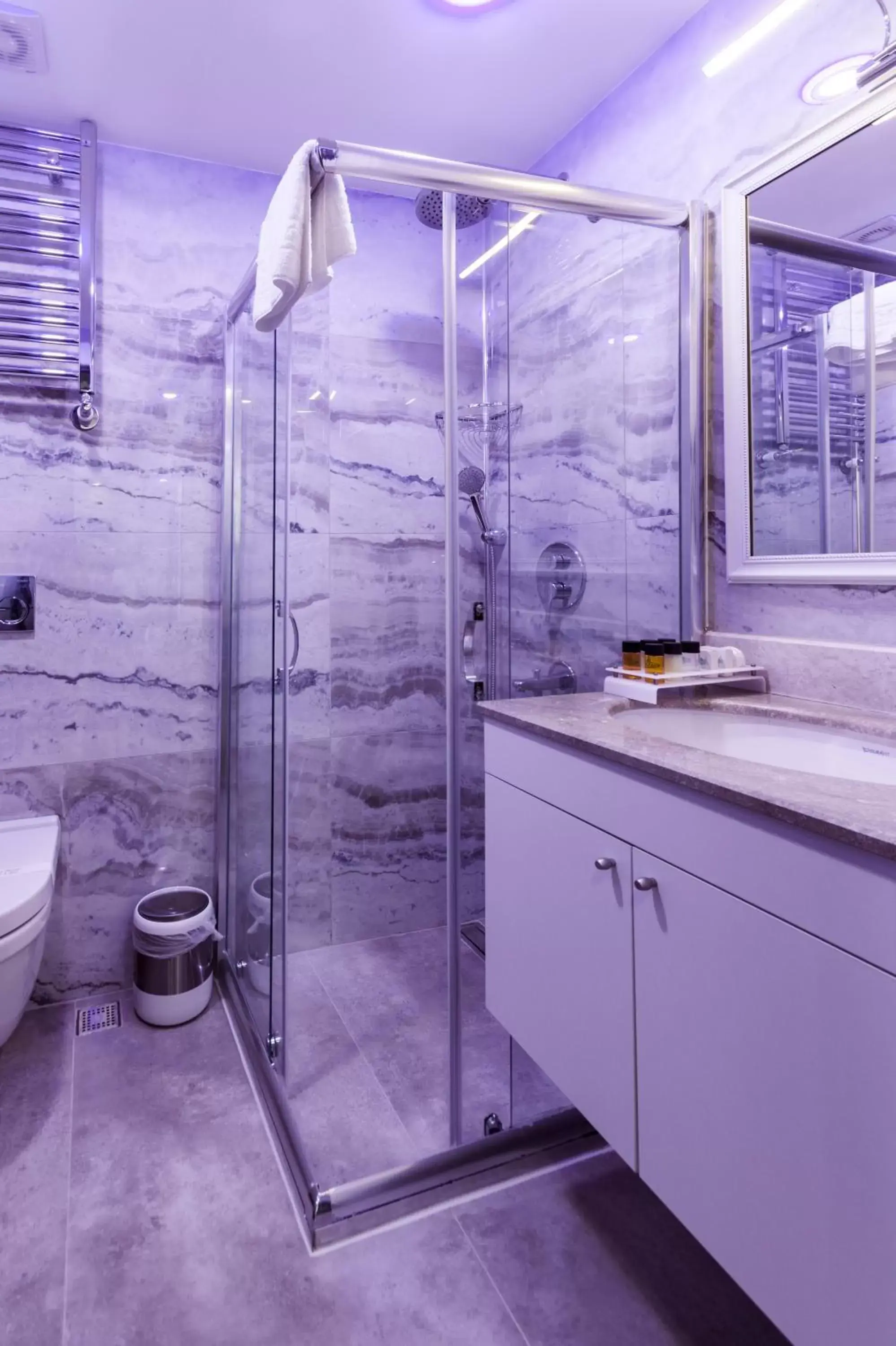 Toilet, Bathroom in Antusa Design Hotel & Spa