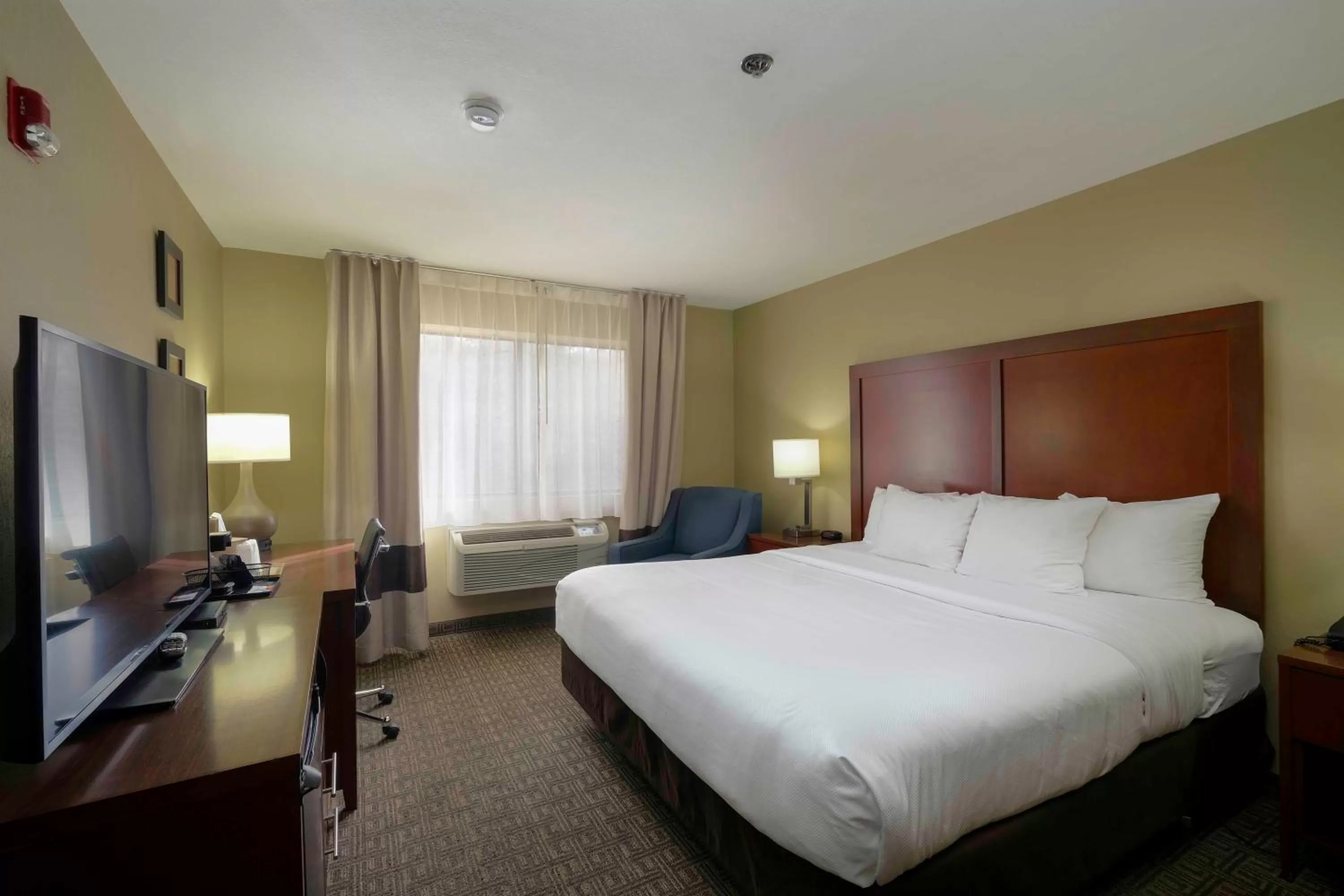 Bed in Comfort Inn Near Gila National Forest