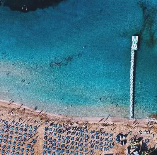 Day, Beach in Constantinos the Great Beach Hotel