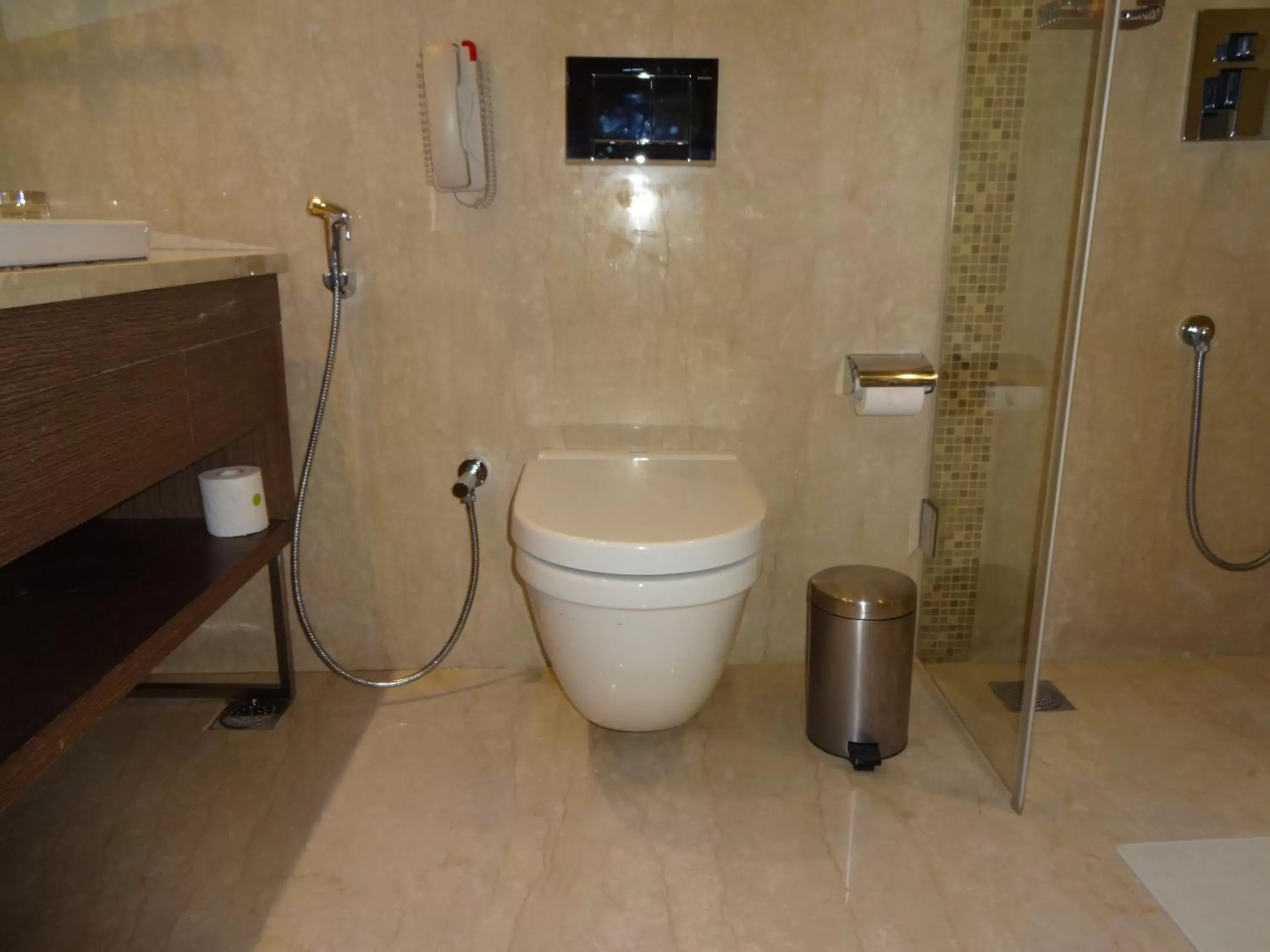 Toilet, Bathroom in The Raintree, Anna Salai Toilet, Bathroom in The Raintree, Anna Salai
