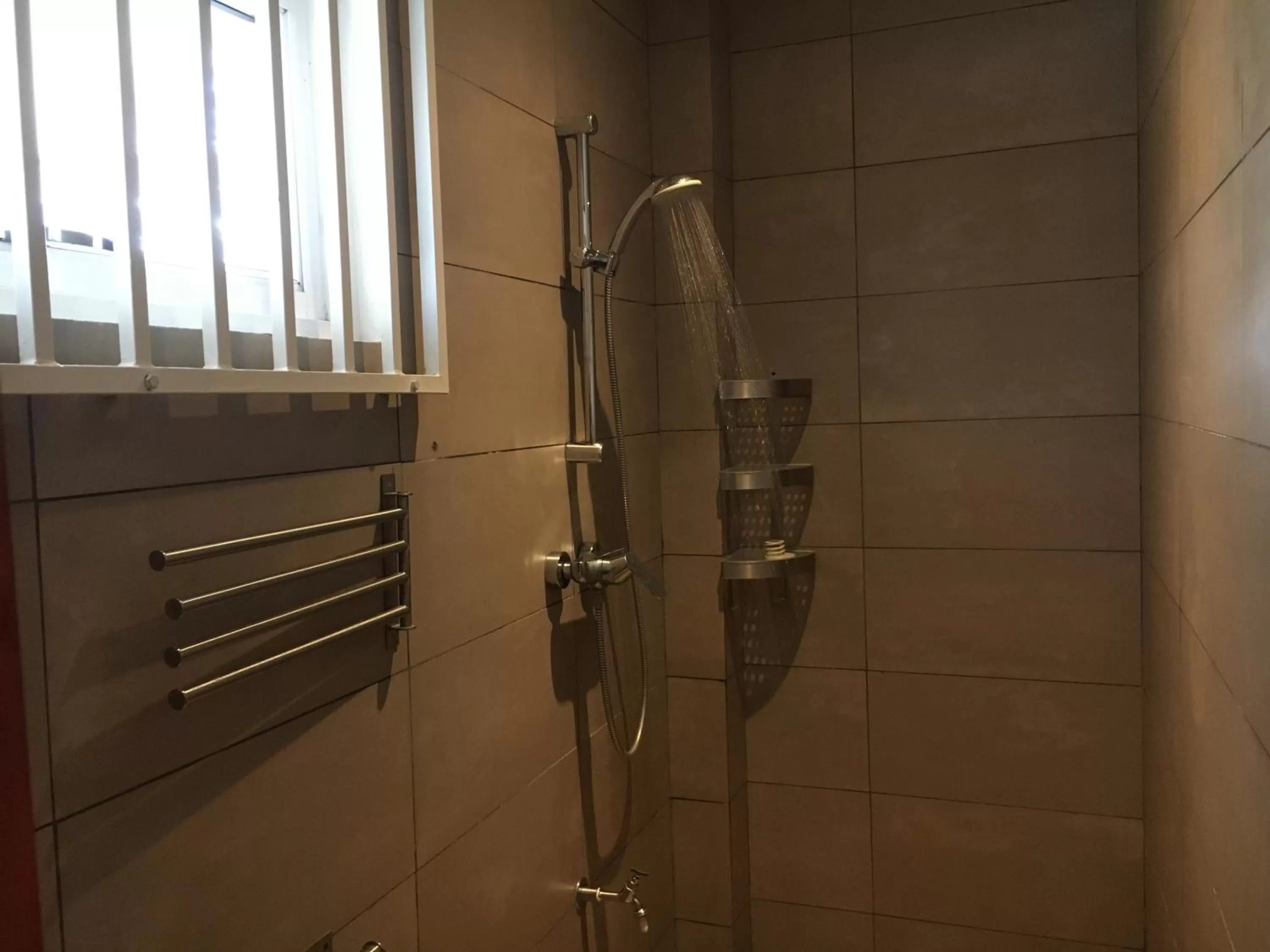 Shower, Bathroom in Asteria Studios