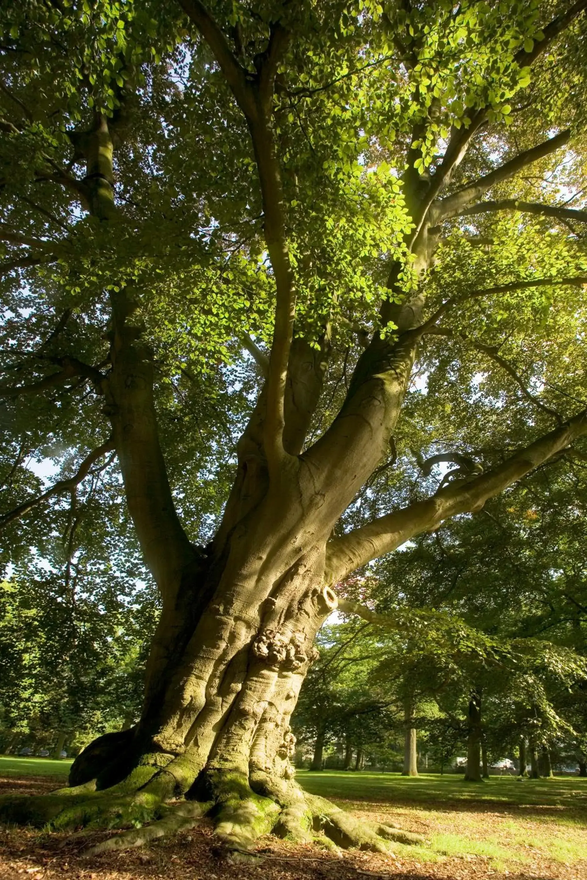 Natural Landscape in Landgoed Huize Bergen Den Bosch - Vught