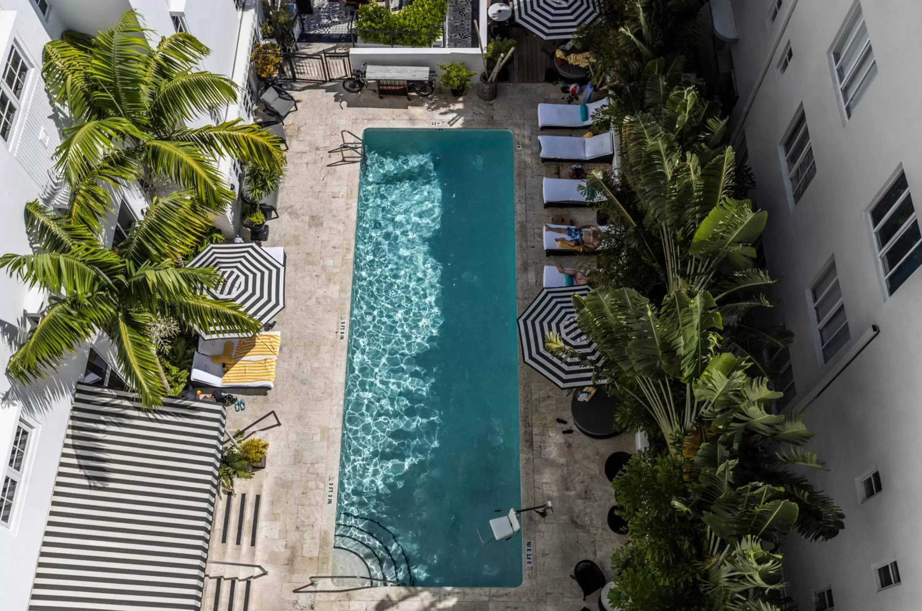 Swimming pool, Pool View in Hotel Croydon