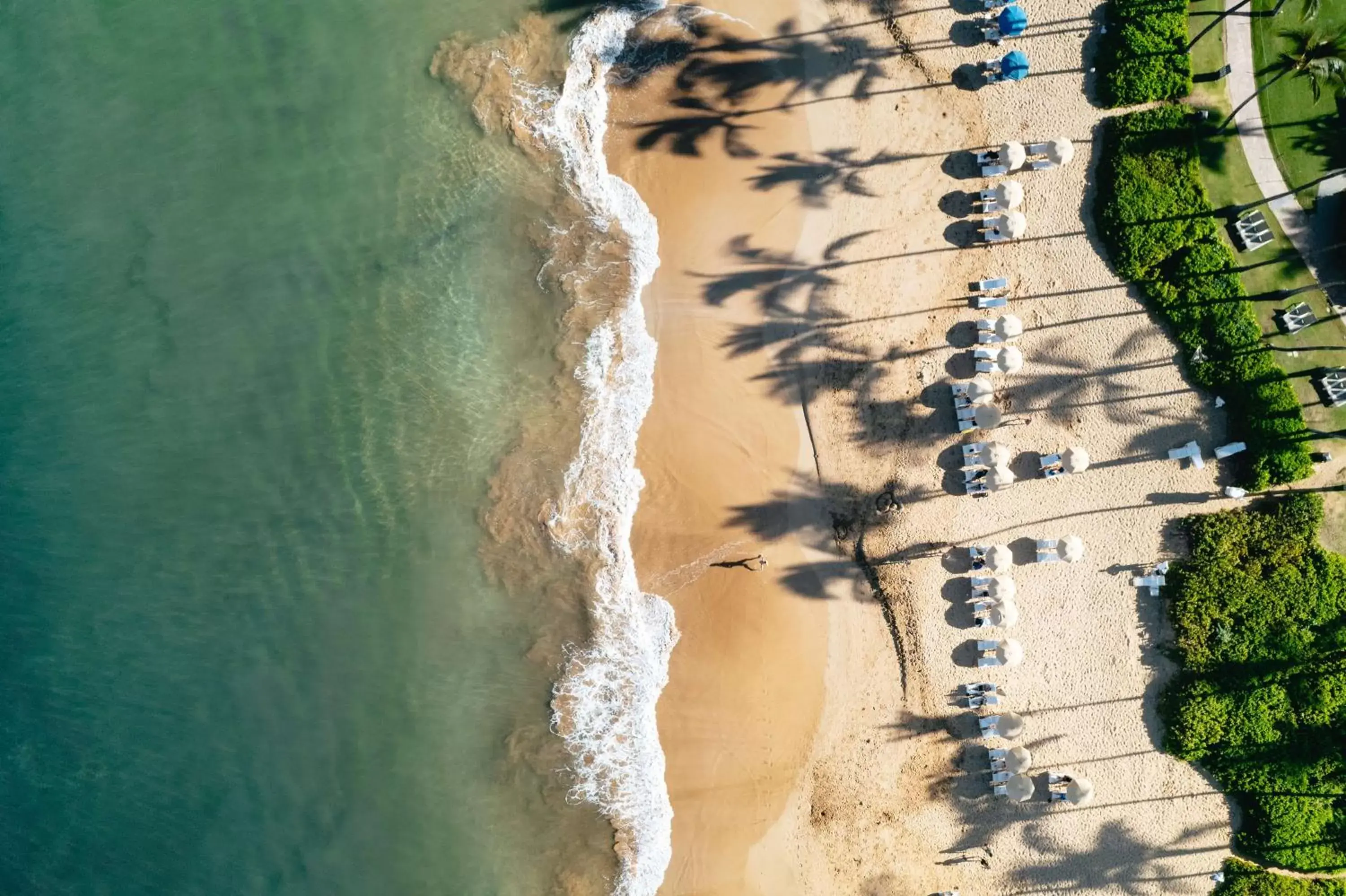 Property building, Bird's-eye View in Grand Wailea Resort Hotel & Spa, A Waldorf Astoria Resort