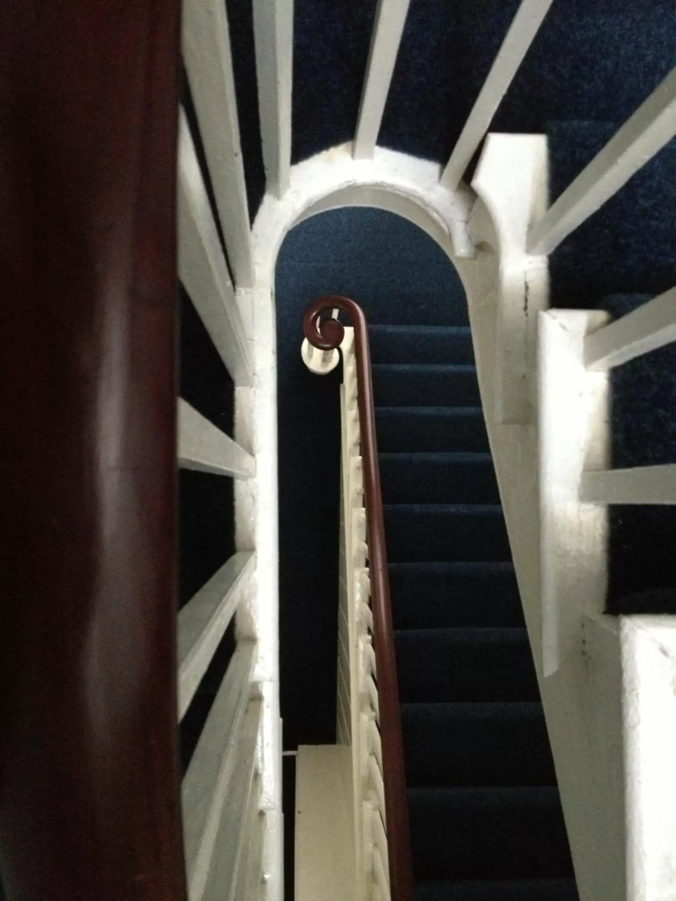 Bird's eye view in Square Tree House