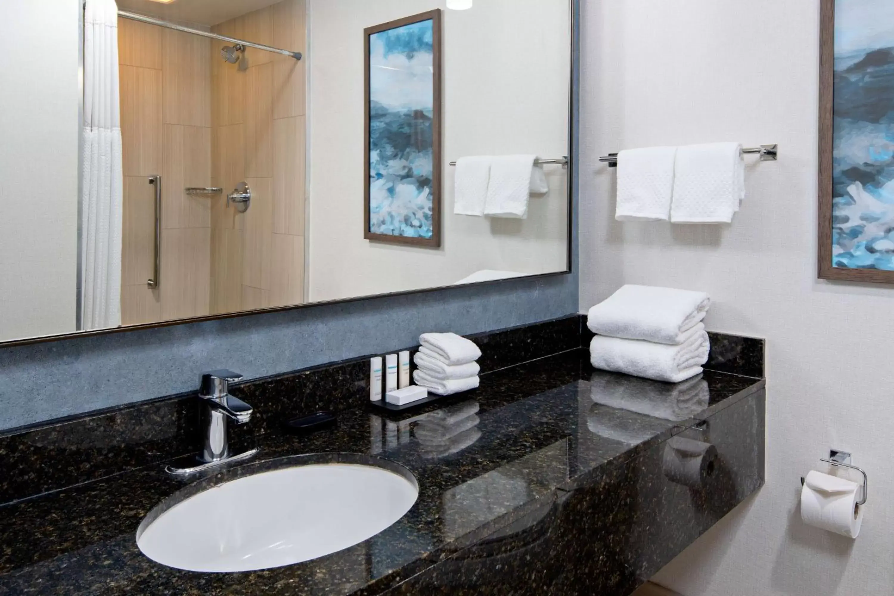 Bathroom in Embassy Suites by Hilton Monterey Bay Seaside
