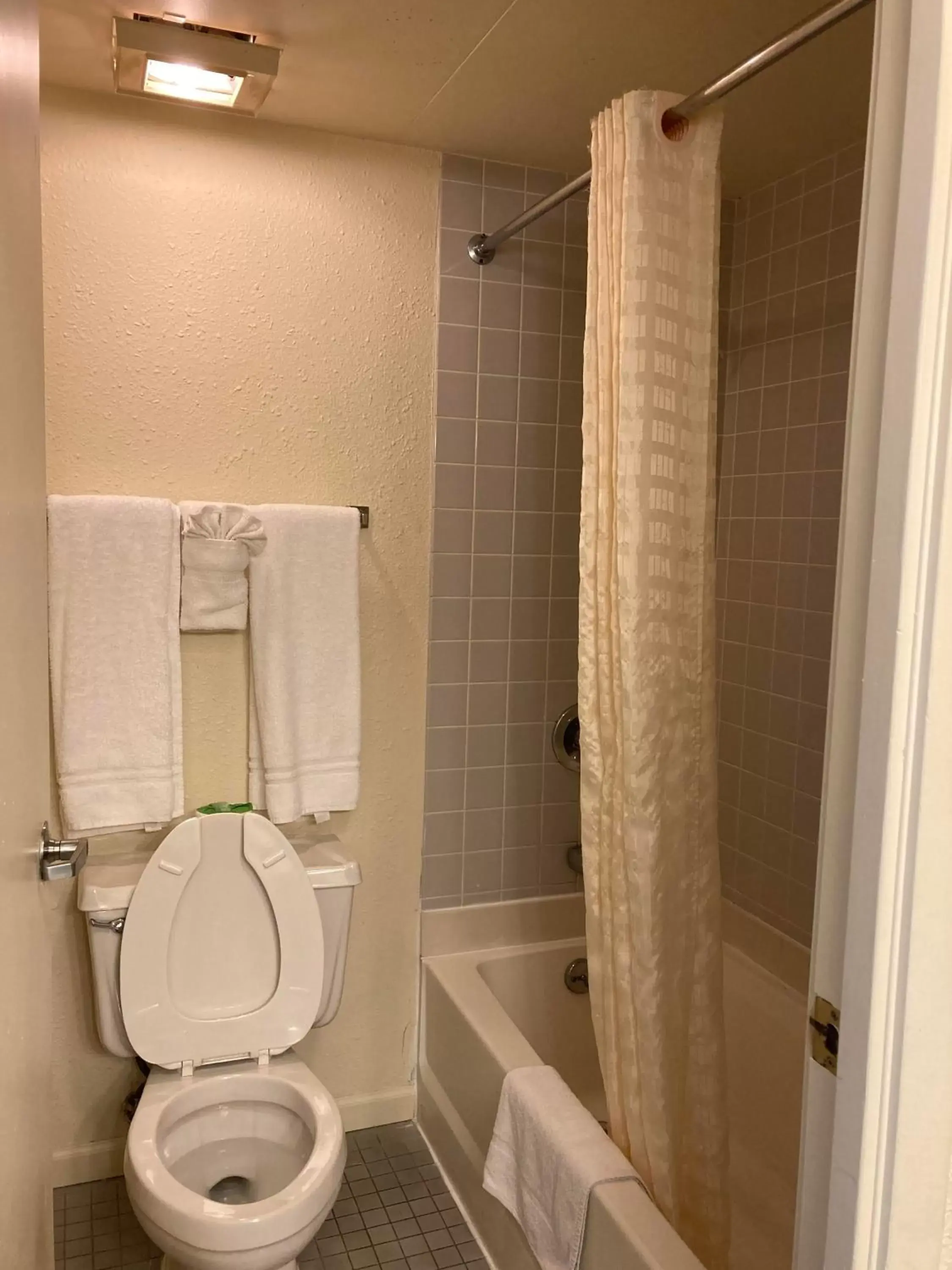Shower, Bathroom in Americourt Hotel - Mountain City
