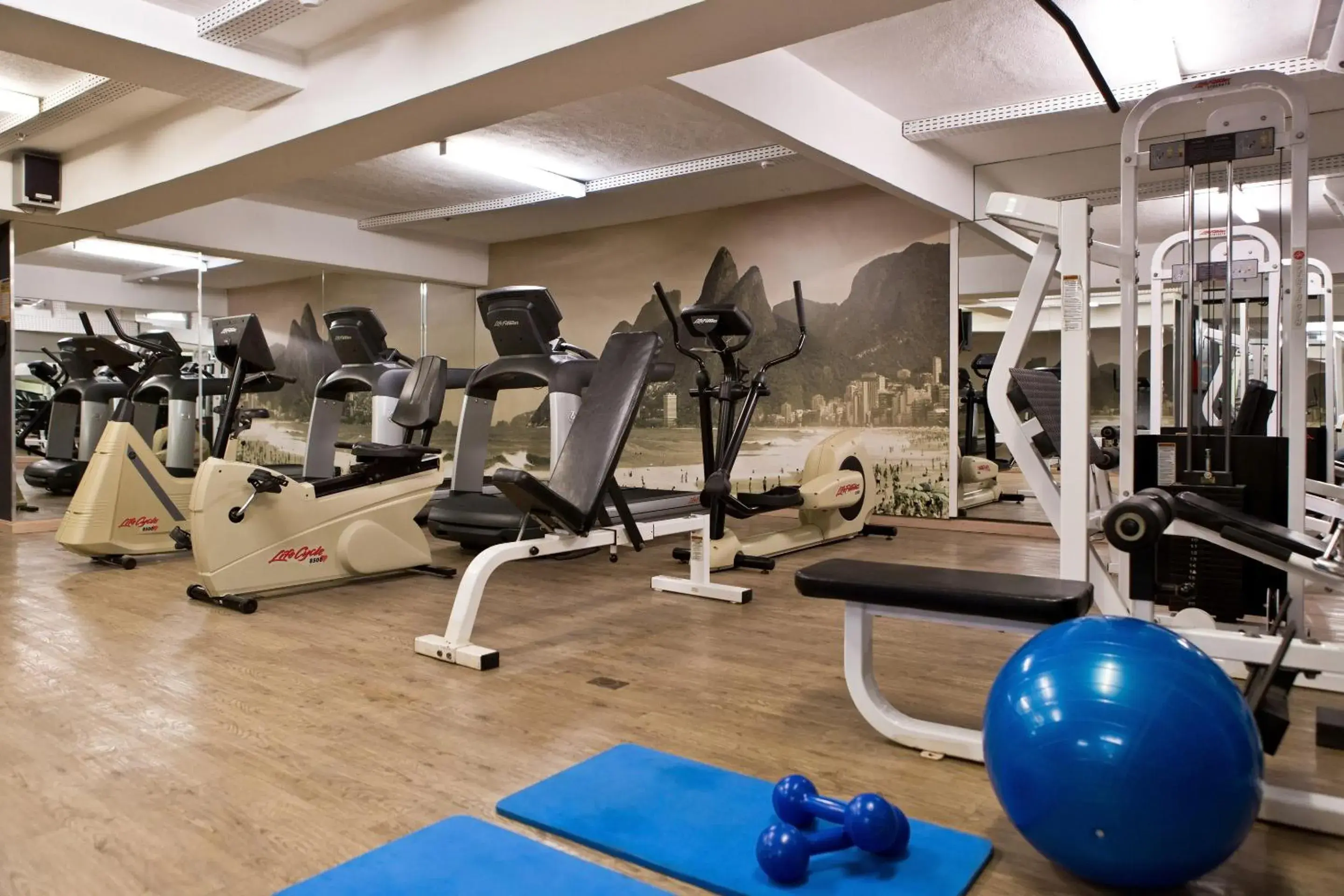 Fitness centre/facilities, Fitness Center/Facilities in Ritz Leblon