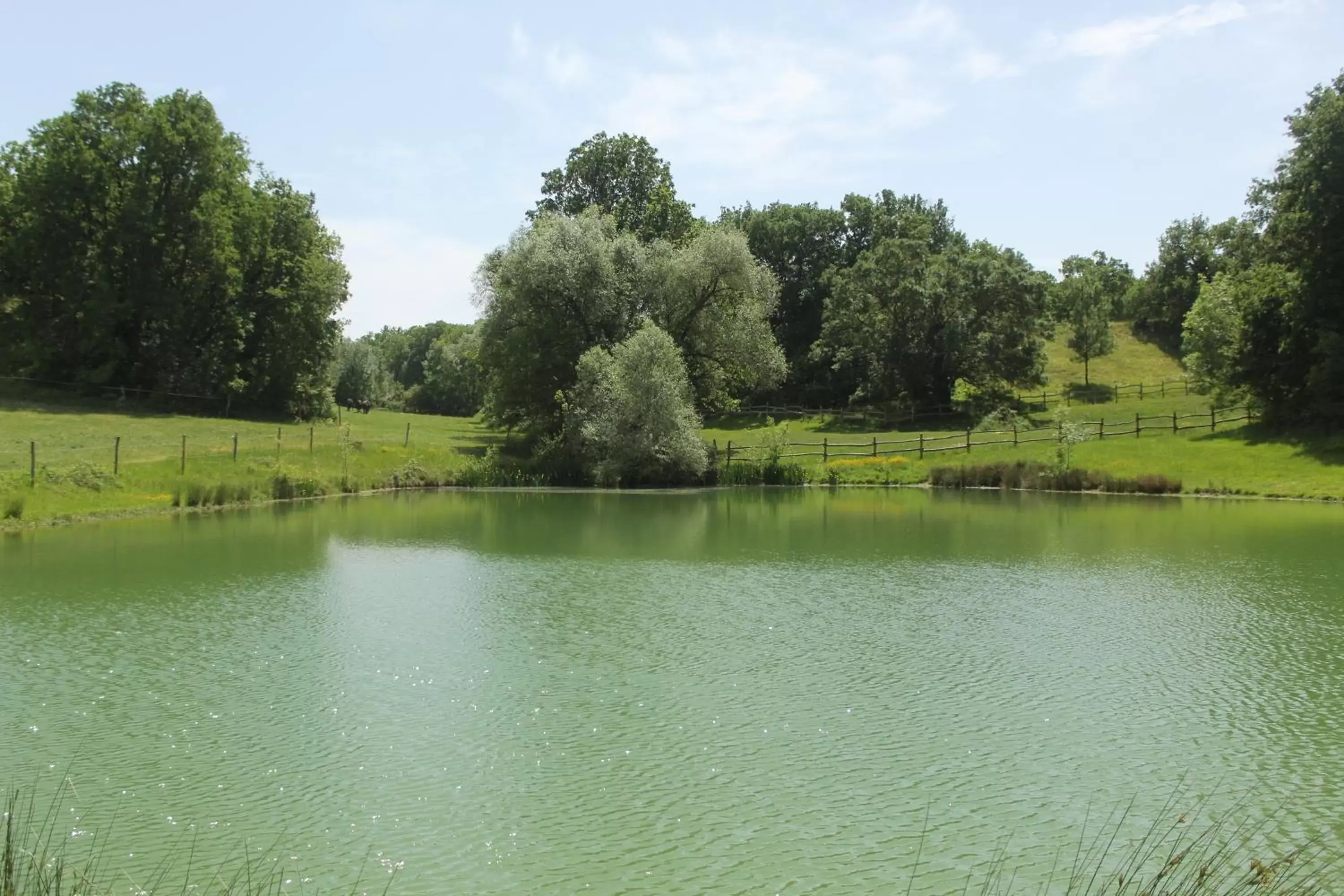 Domaine de la Couderquié