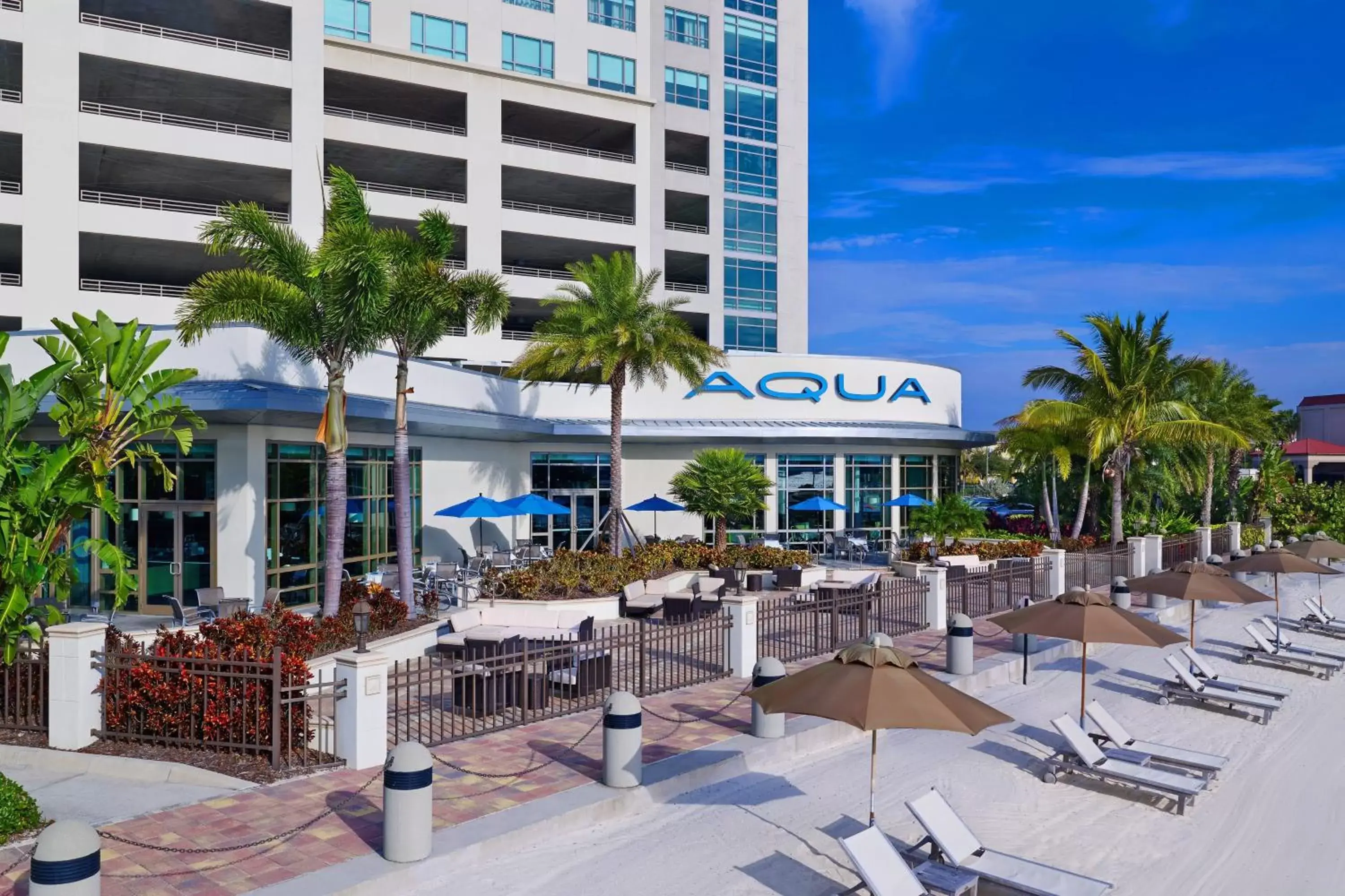 Beach, Restaurant/Places to Eat in The Westin Tampa Bay