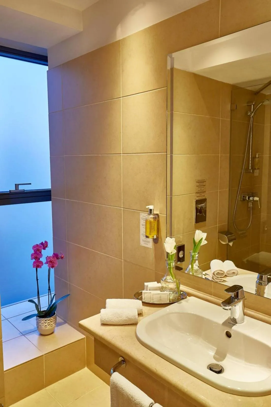 Shower in Central Plaza Hotel