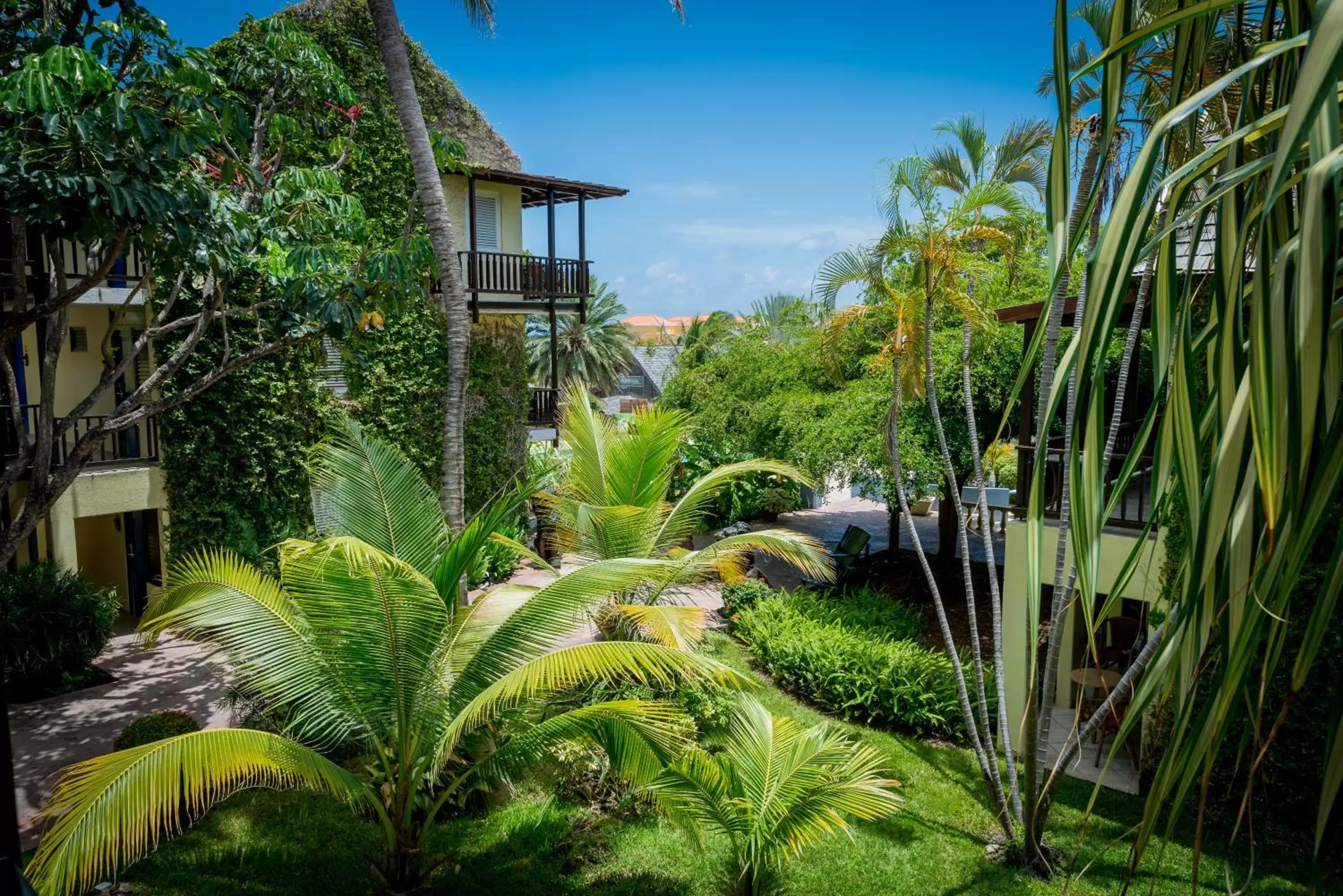 Natural landscape in LionsDive Beach Resort