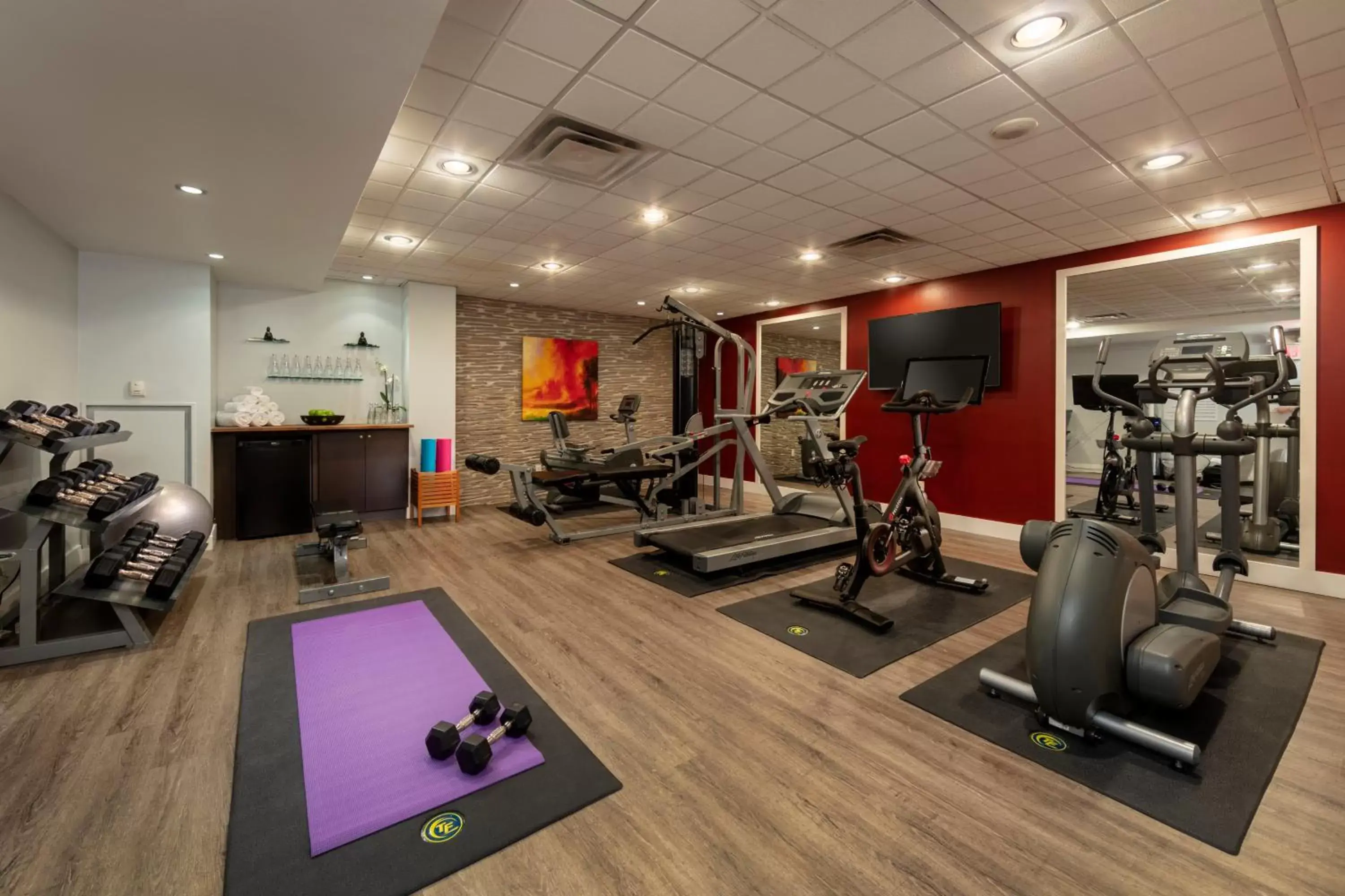 Fitness centre/facilities, Fitness Center/Facilities in Executive Hotel Cosmopolitan Toronto