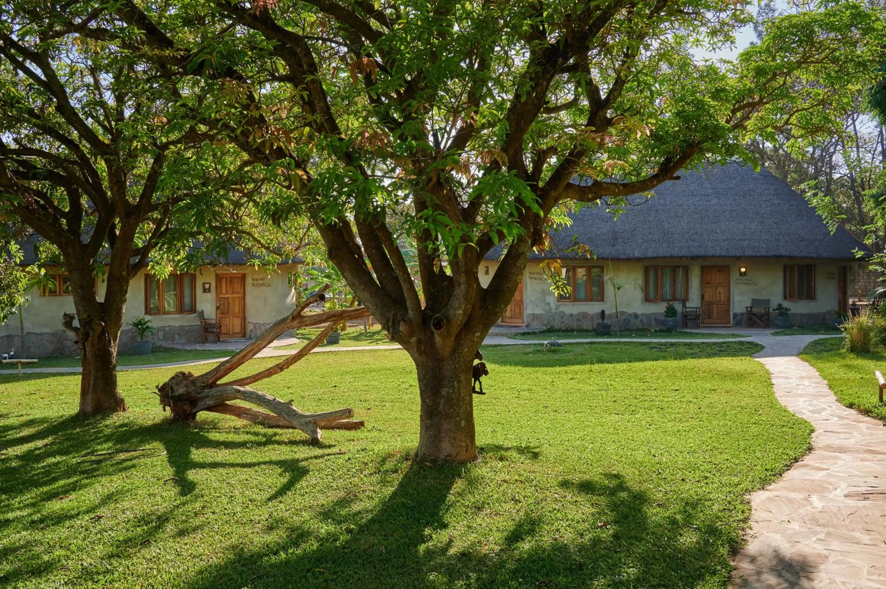 Garden in Wild Dogs Lodge