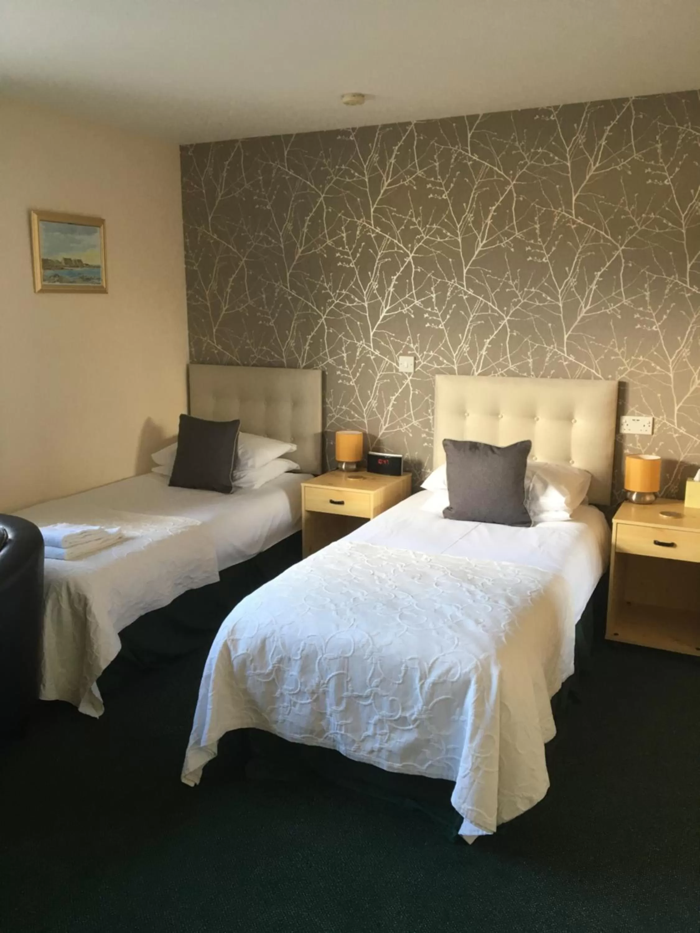 Twin Room - Disability Access in Deveron Lodge Guest House