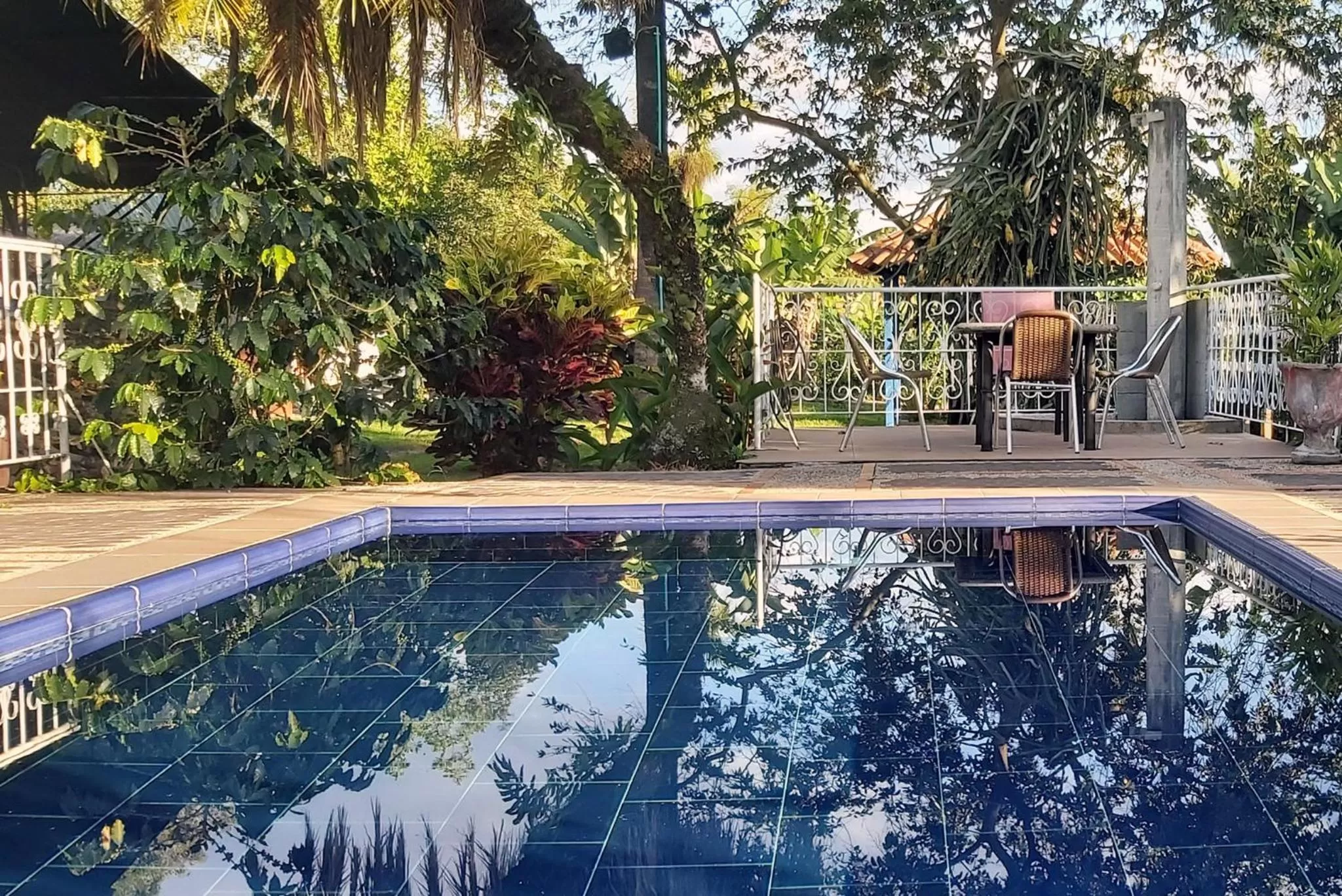 Swimming pool in Balsora Hotel Boutique