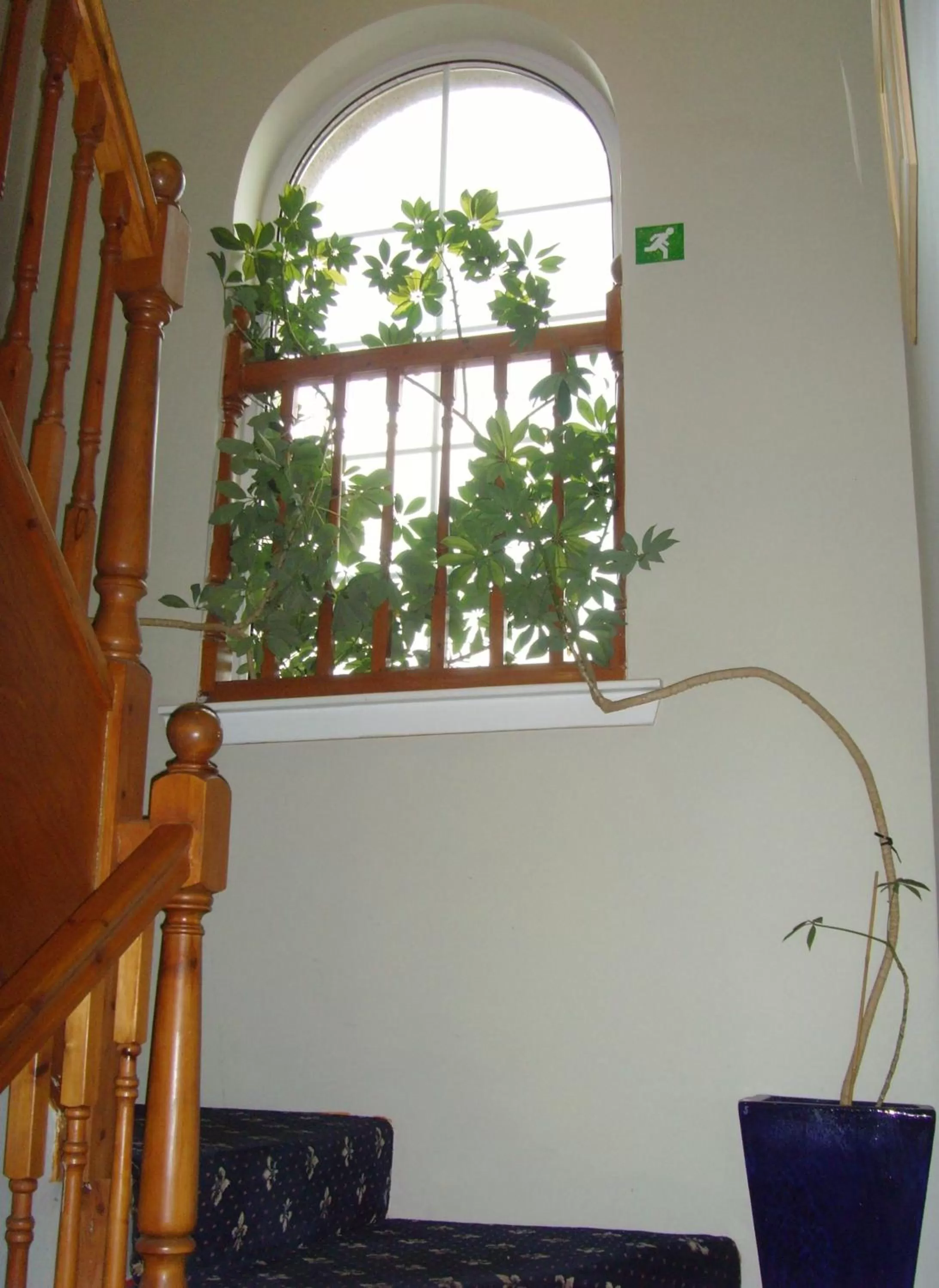 View (from property/room) in Twin Lions Hotel