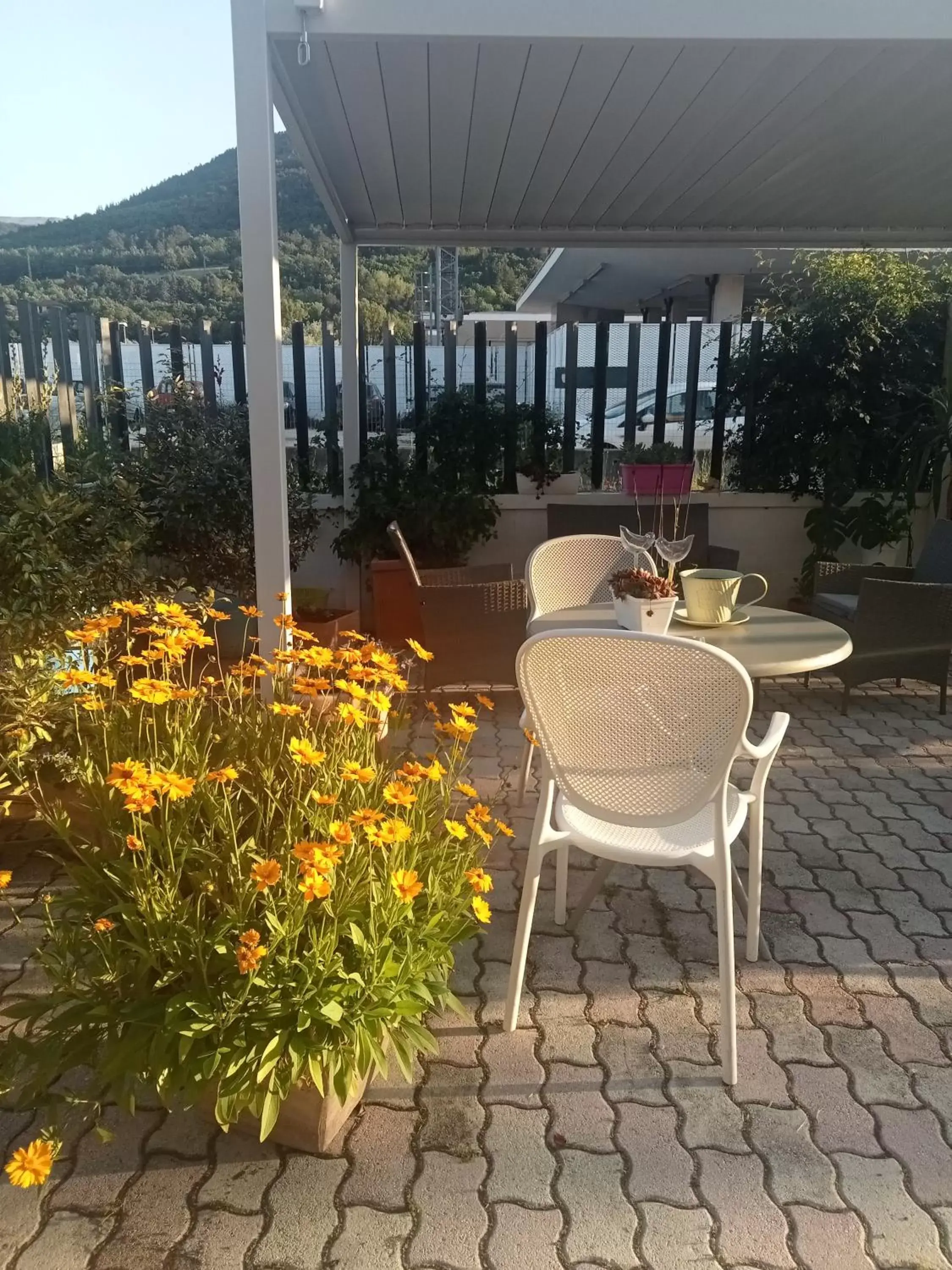 Garden in Hotel Porta Rivera