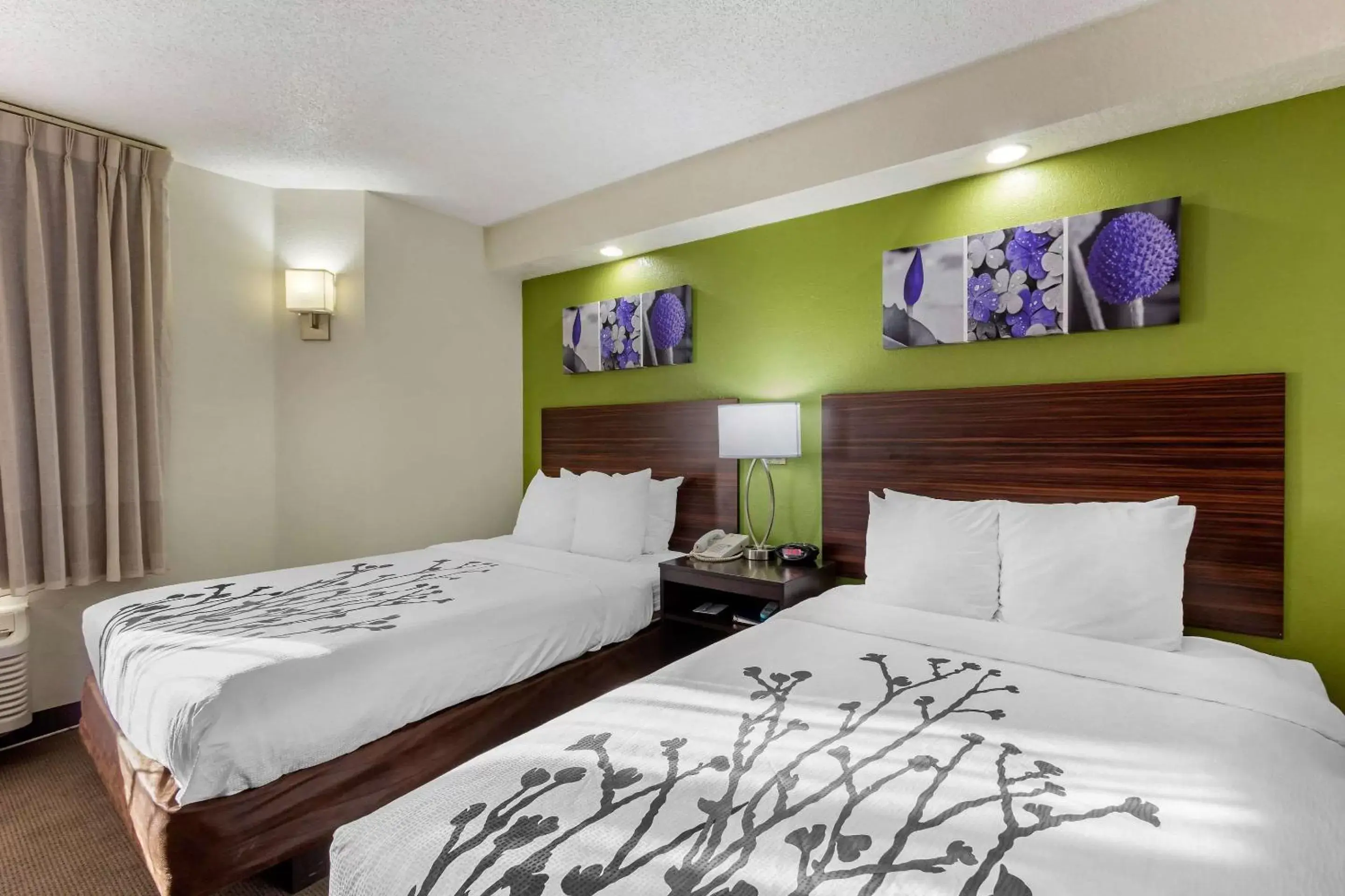 Photo of the whole room, Bed in Sleep Inn near Busch Gardens - USF