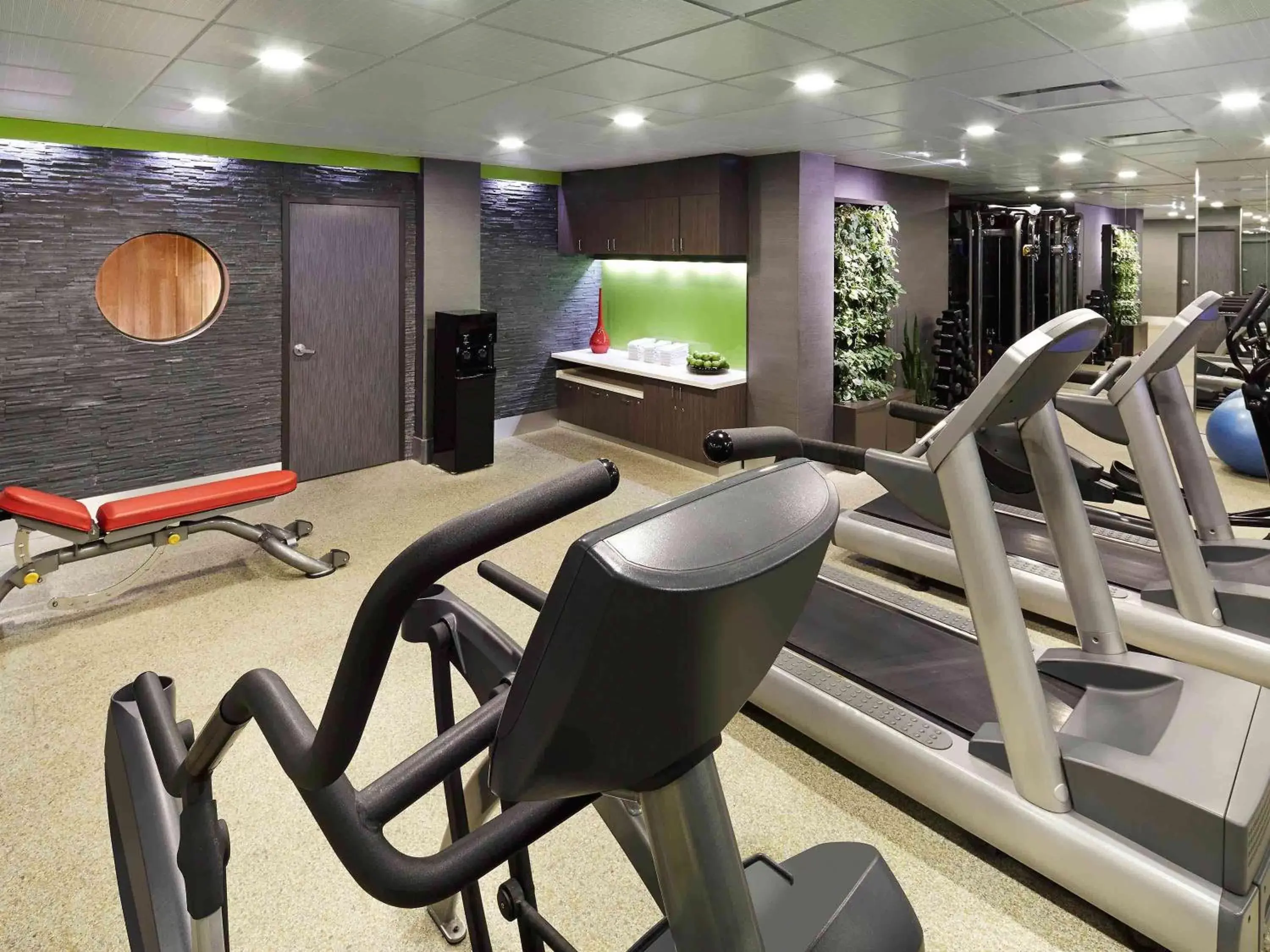 Fitness centre/facilities, Fitness Center/Facilities in Sofitel Montreal Golden Mile