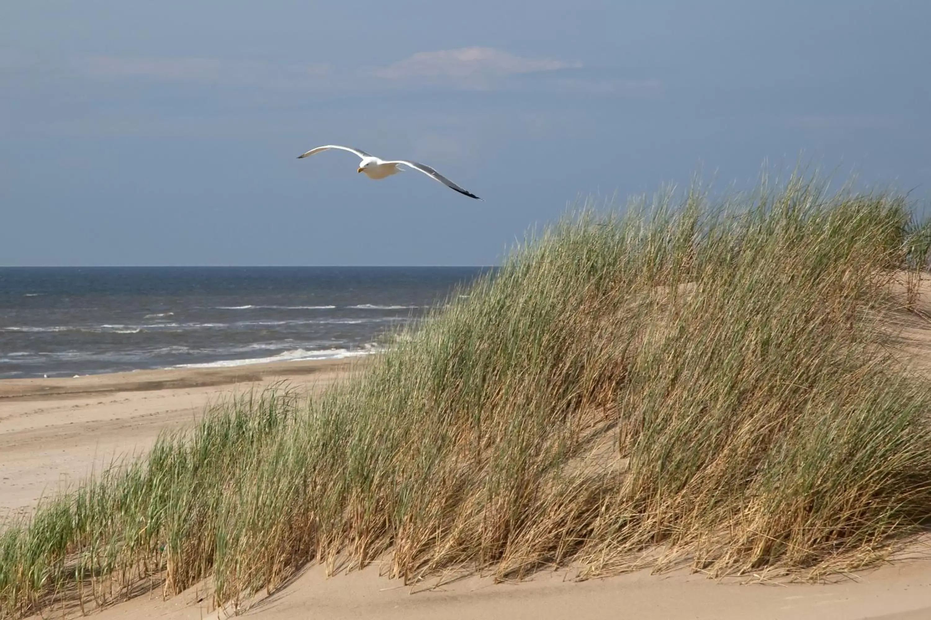 Beach in Two Brothers Noordwijk Beach