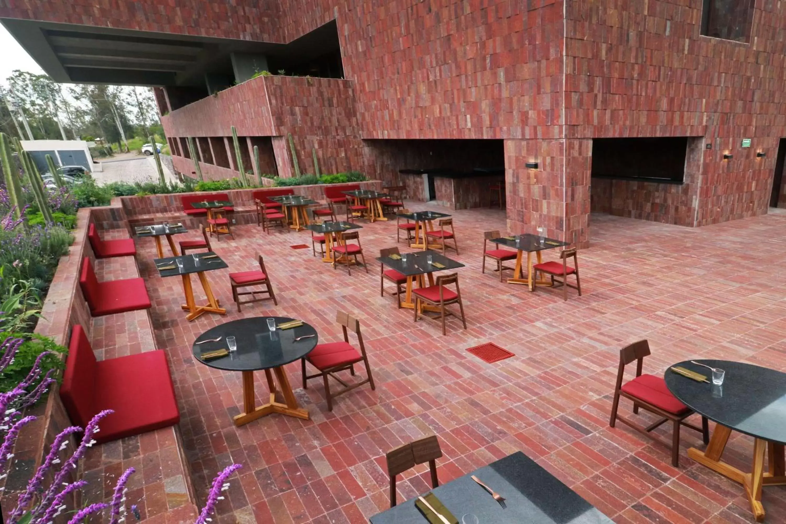 Restaurant/places to eat in Albor San Miguel de Allende, Tapestry Collection by Hilton Restaurant/places to eat in Albor San Miguel de Allende, Tapestry Collection by Hilton