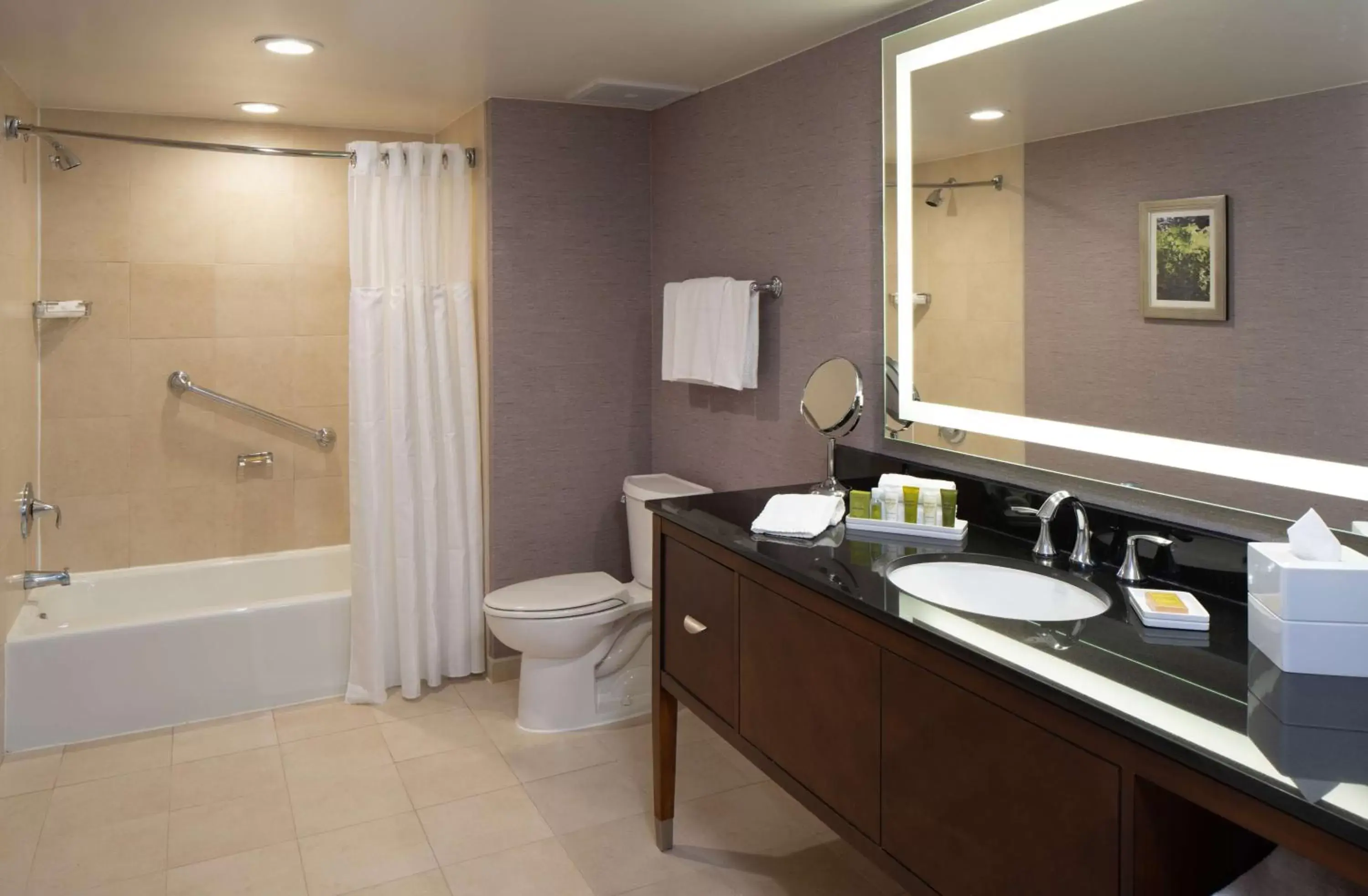 Bathroom in Hilton Washington DC/Rockville Hotel & Executive Meeting Center