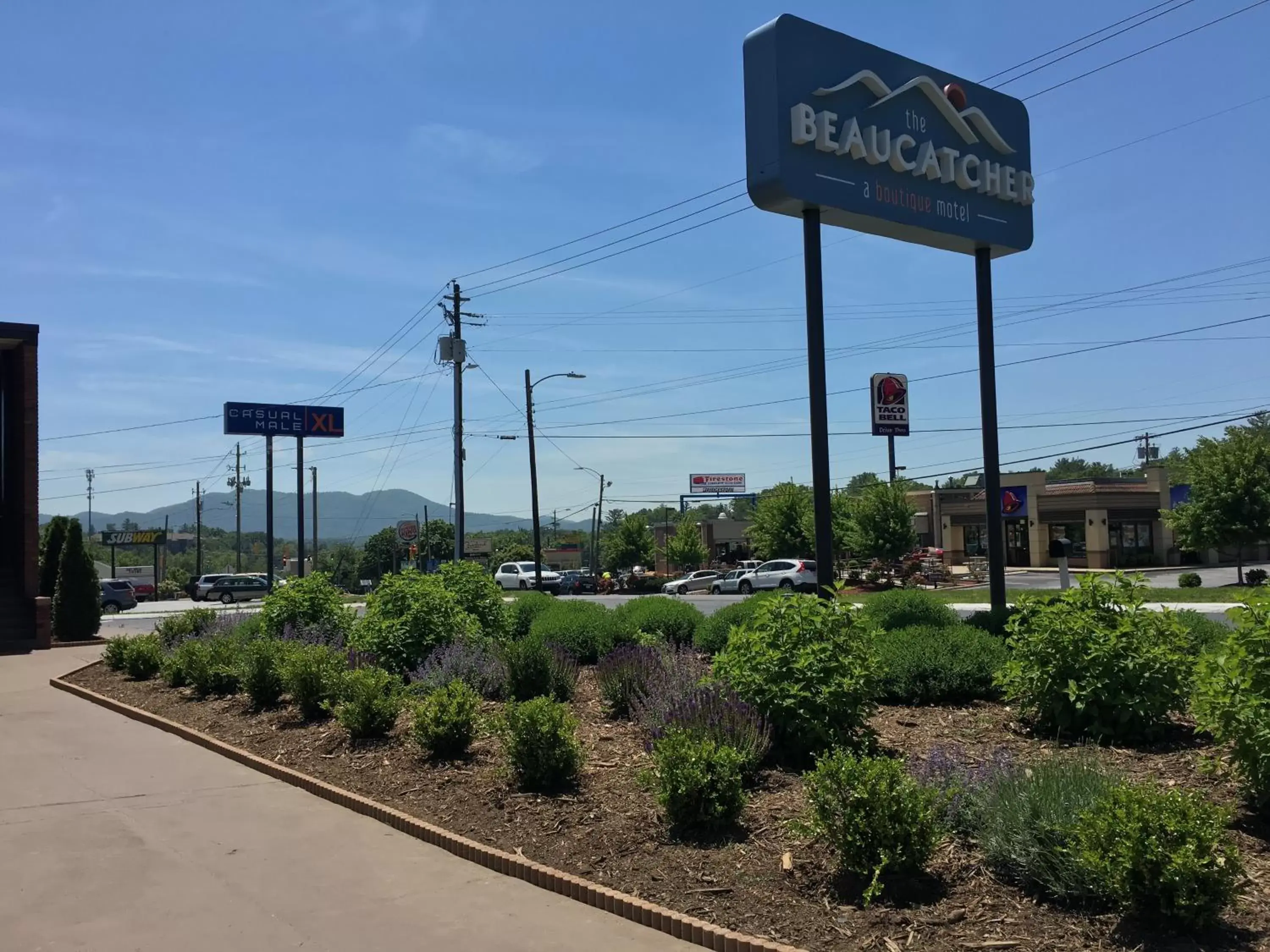 Garden in The Beaucatcher, a Boutique Motel