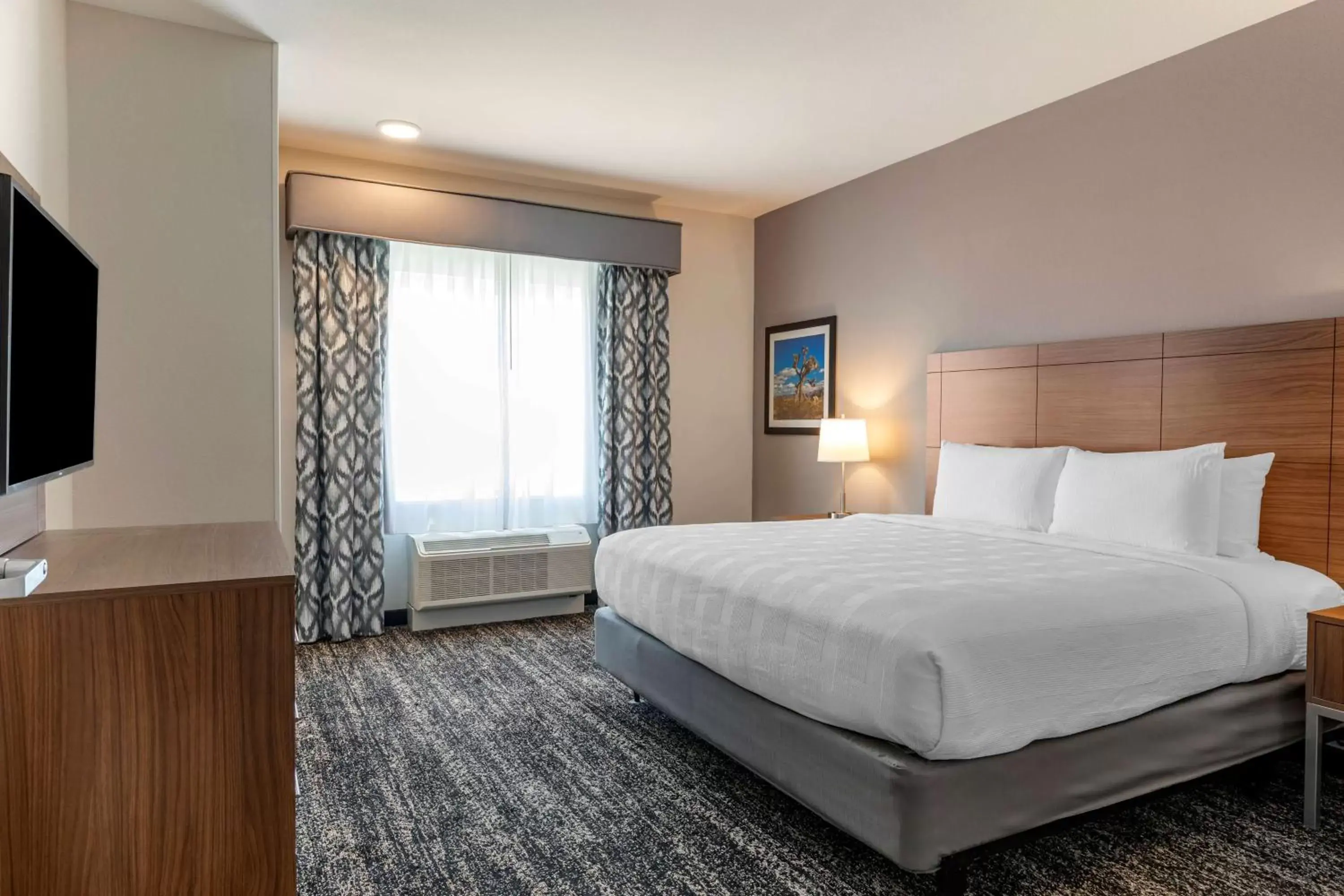 Bedroom, Bed in Best Western Plus Coachella Valley Inn & Suites Bedroom, Bed in Best Western Plus Coachella Valley Inn & Suites