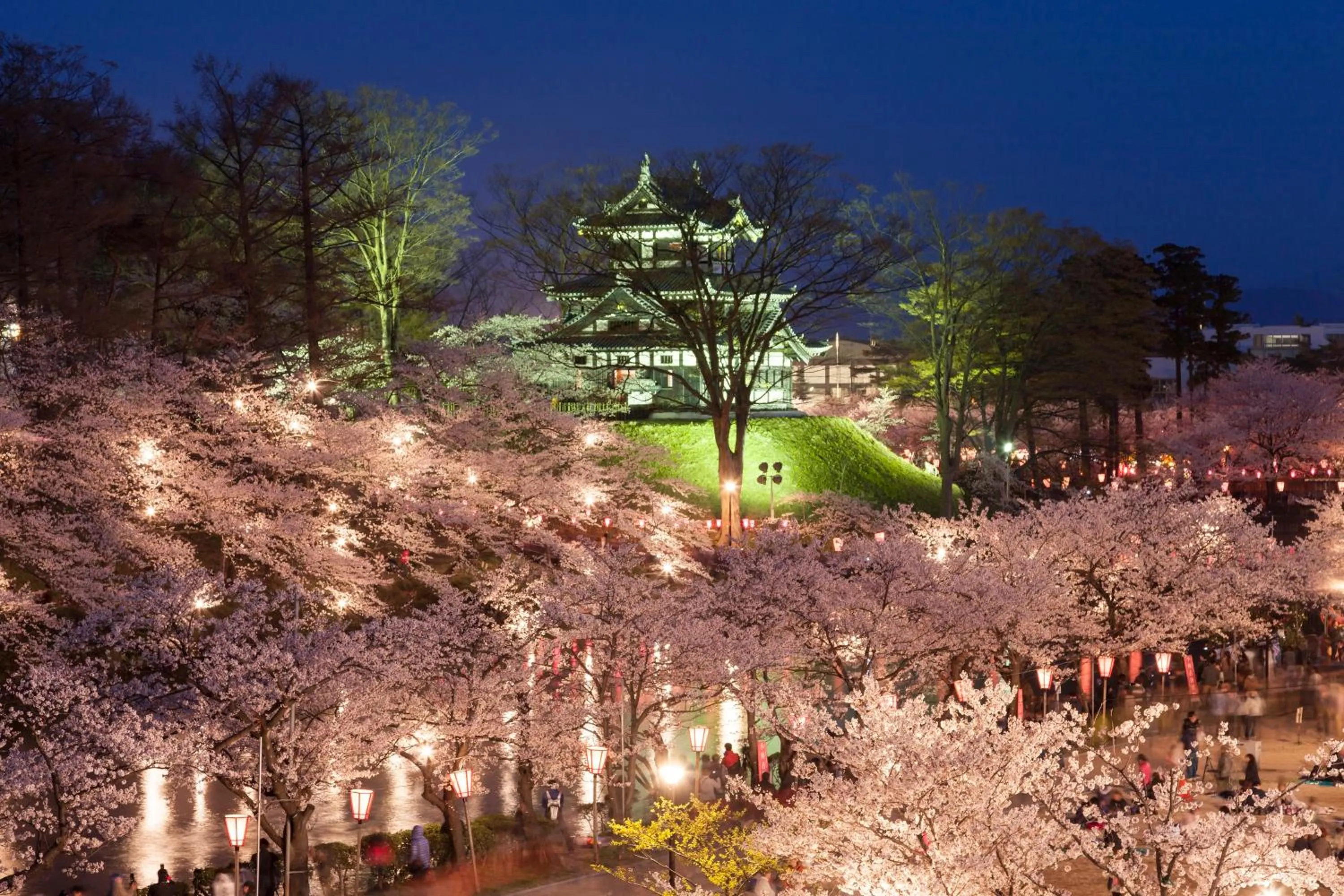 Nearby landmark in Lotte Arai Resort