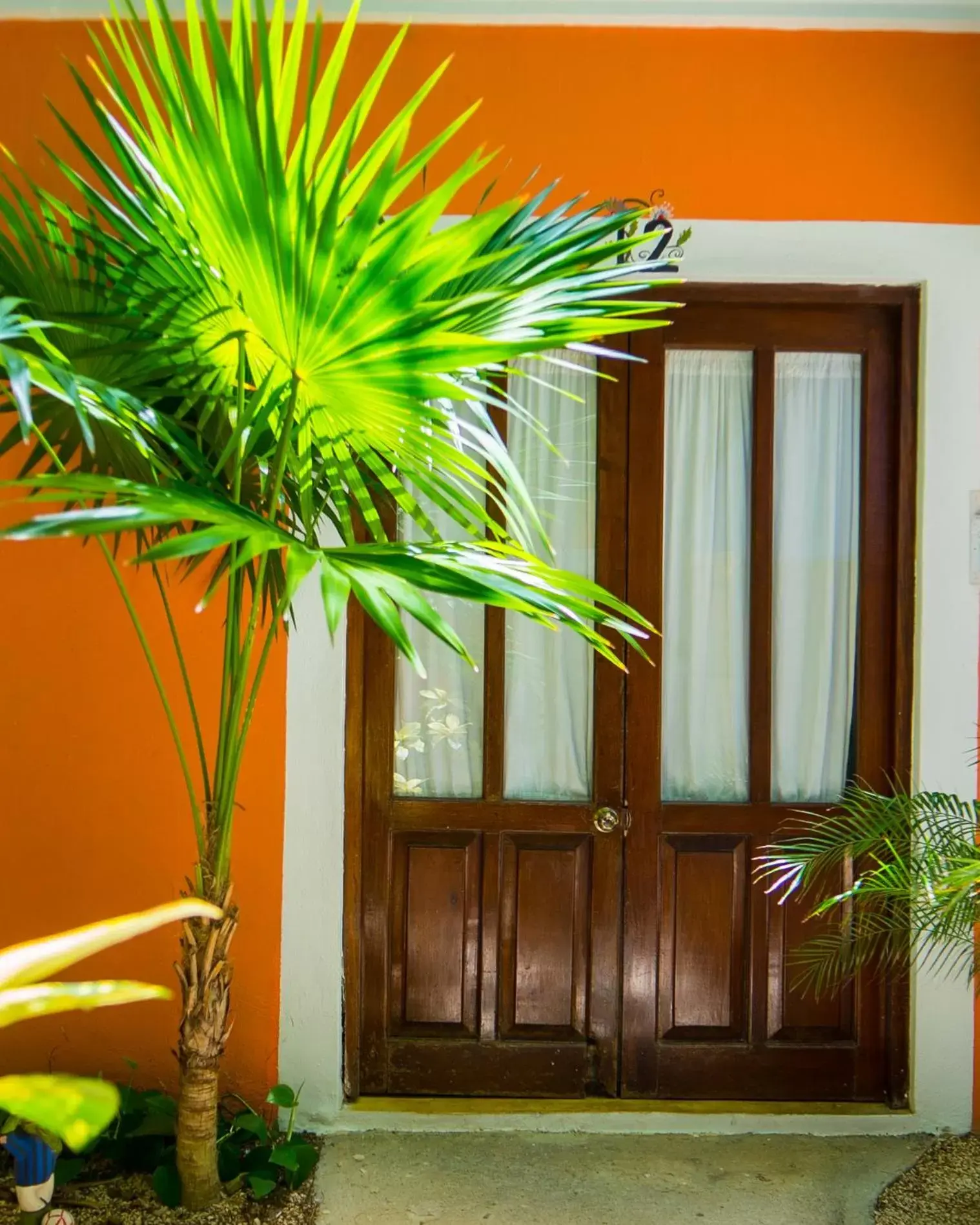 Property building in Hotel Casa de las Flores Property building in Hotel Casa de las Flores