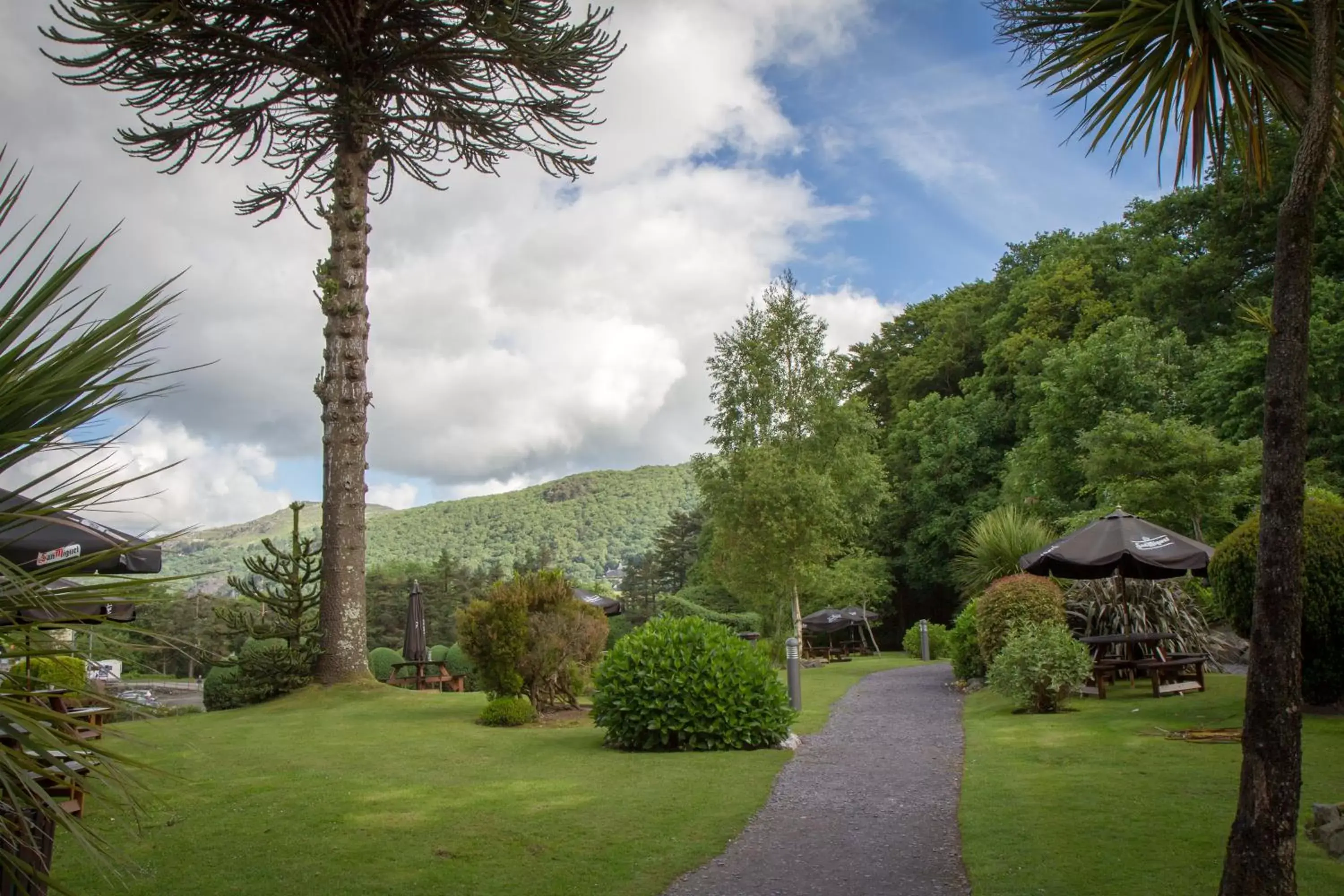 Garden in Royal Victoria Hotel Snowdonia