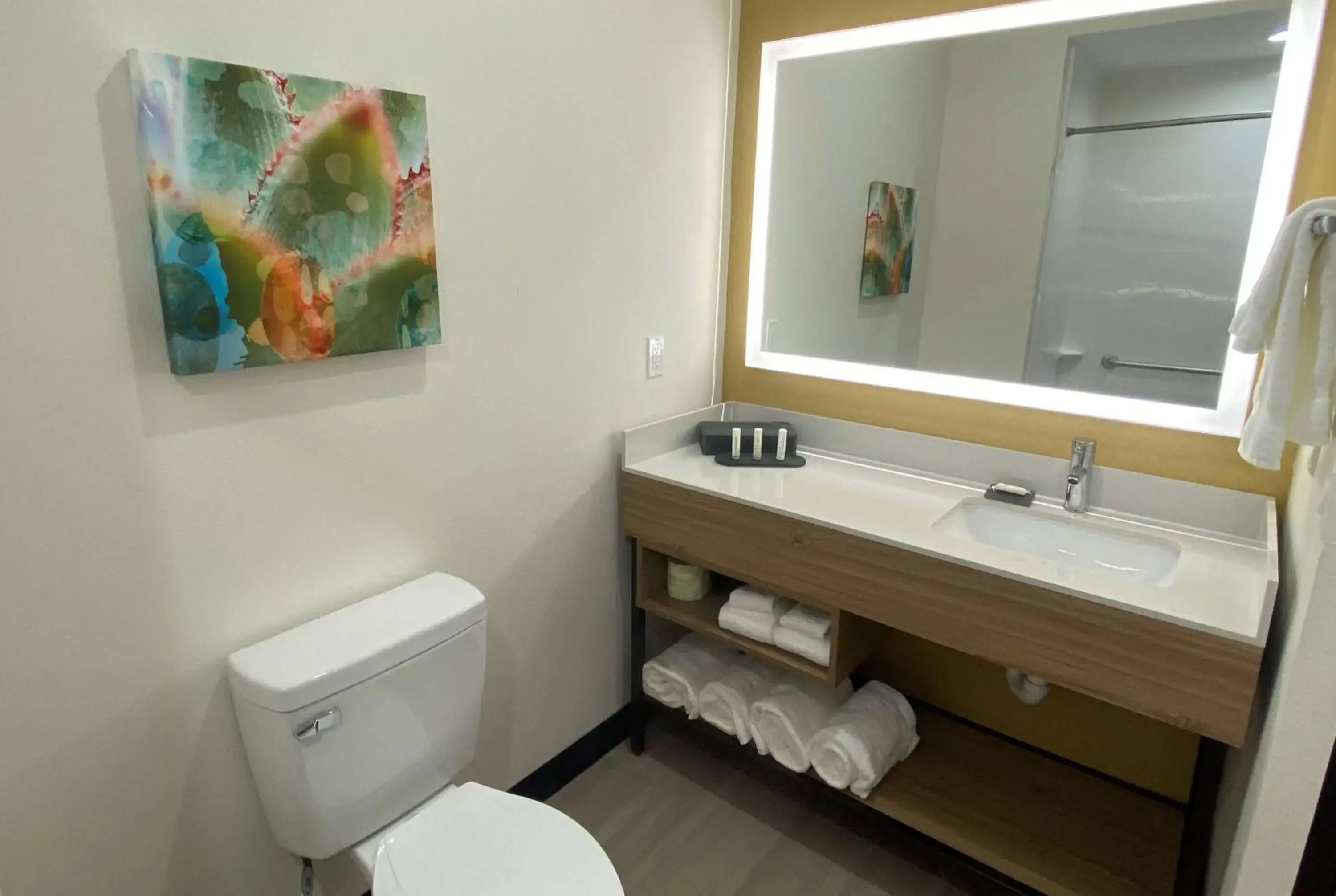 TV and multimedia, Bathroom in La Quinta Inn & Suites by Wyndham El Paso East Loop-375