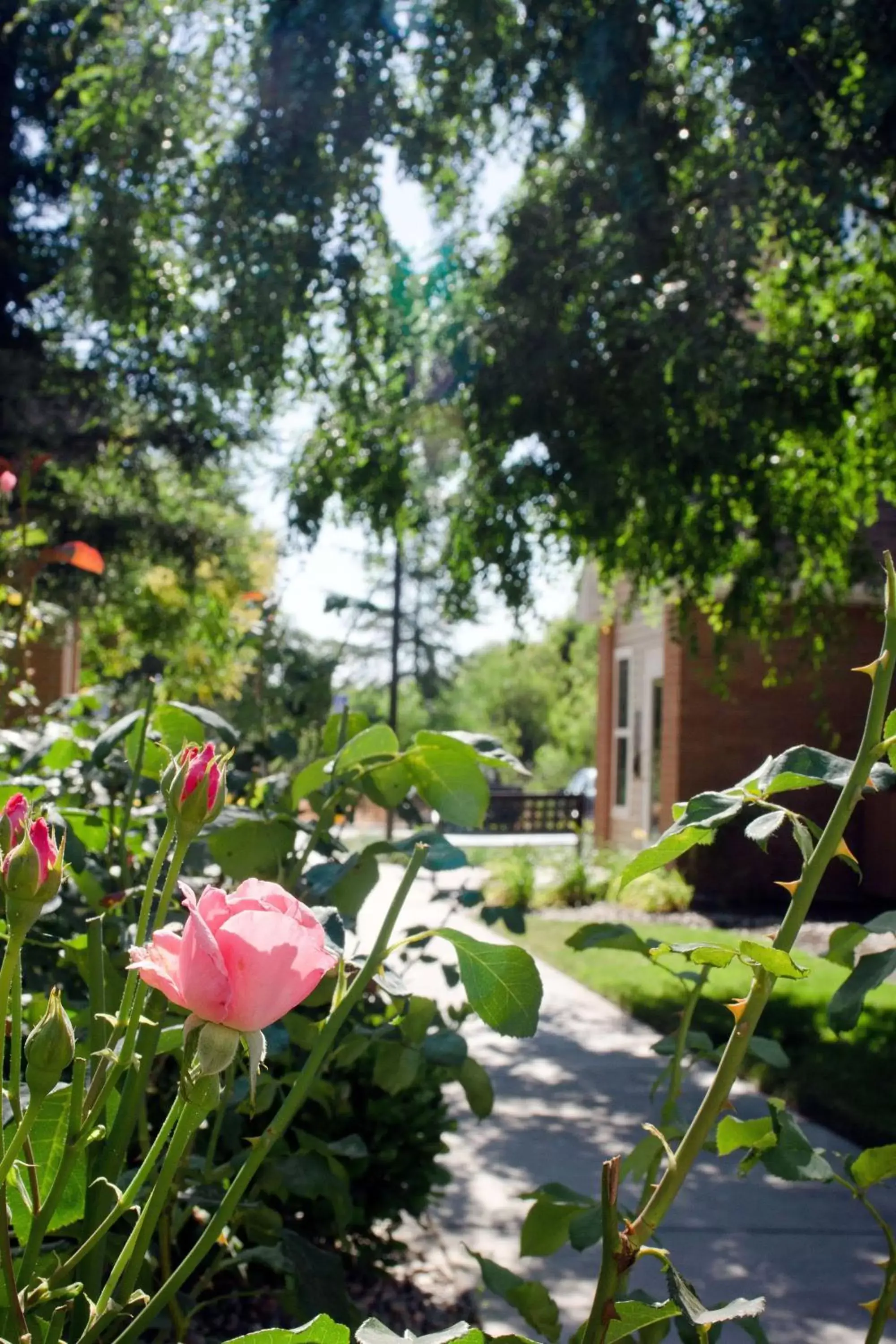 Property building, Garden in Sonesta ES Suites Fresno