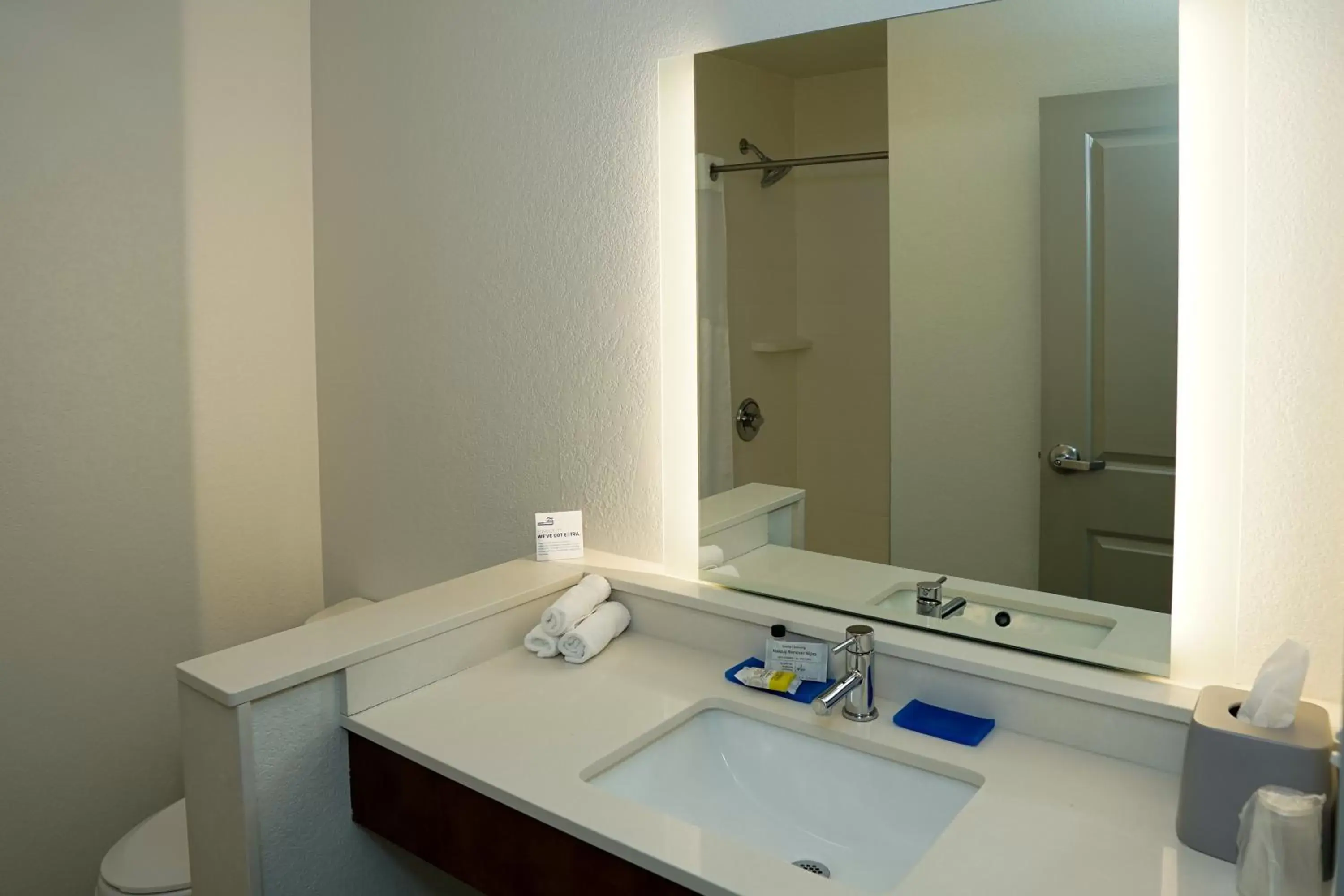 Bathroom in Holiday Inn Express & Suites - Aurora Medical Campus, an IHG Hotel