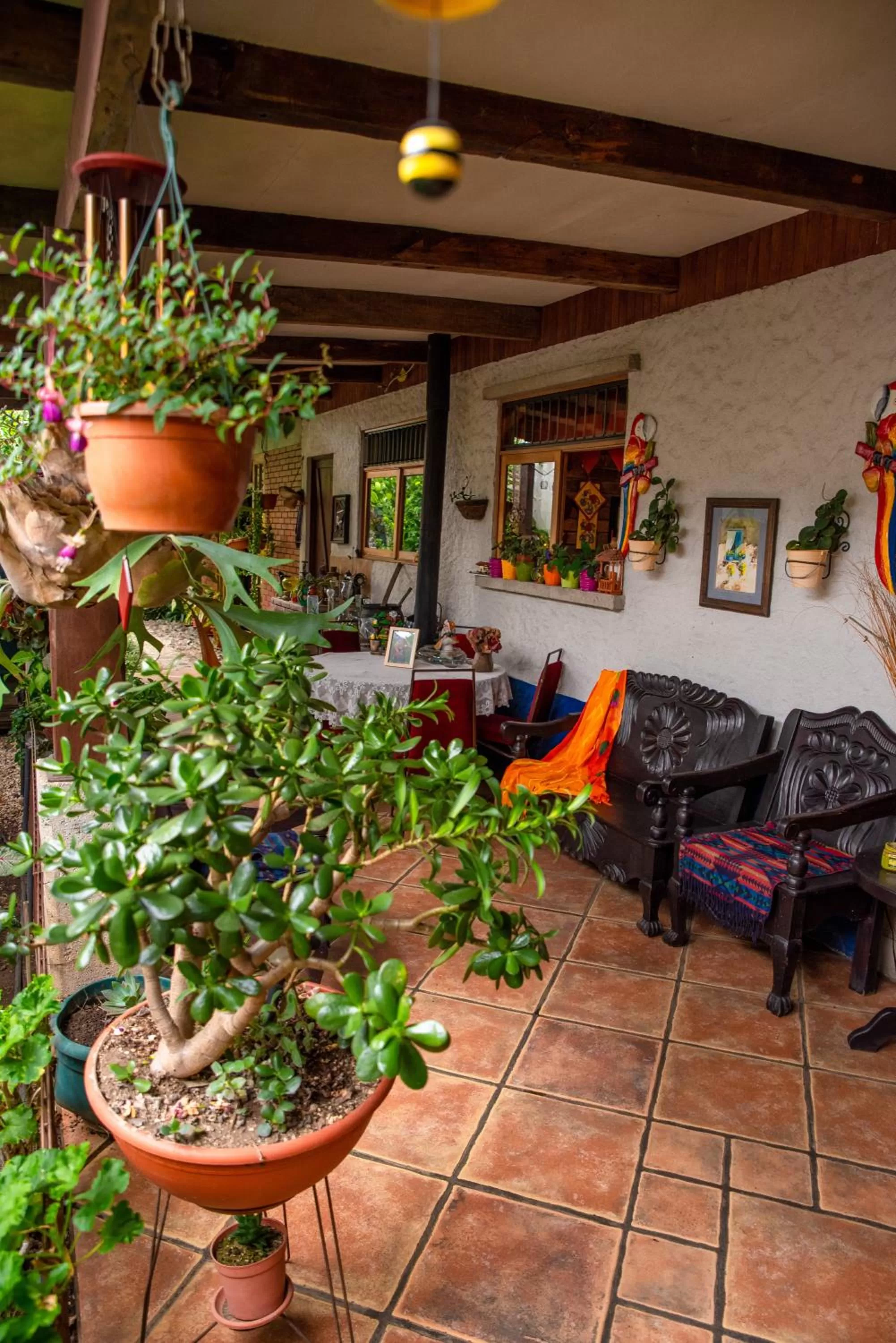 Seating area in La Casa de Mamá Coyita