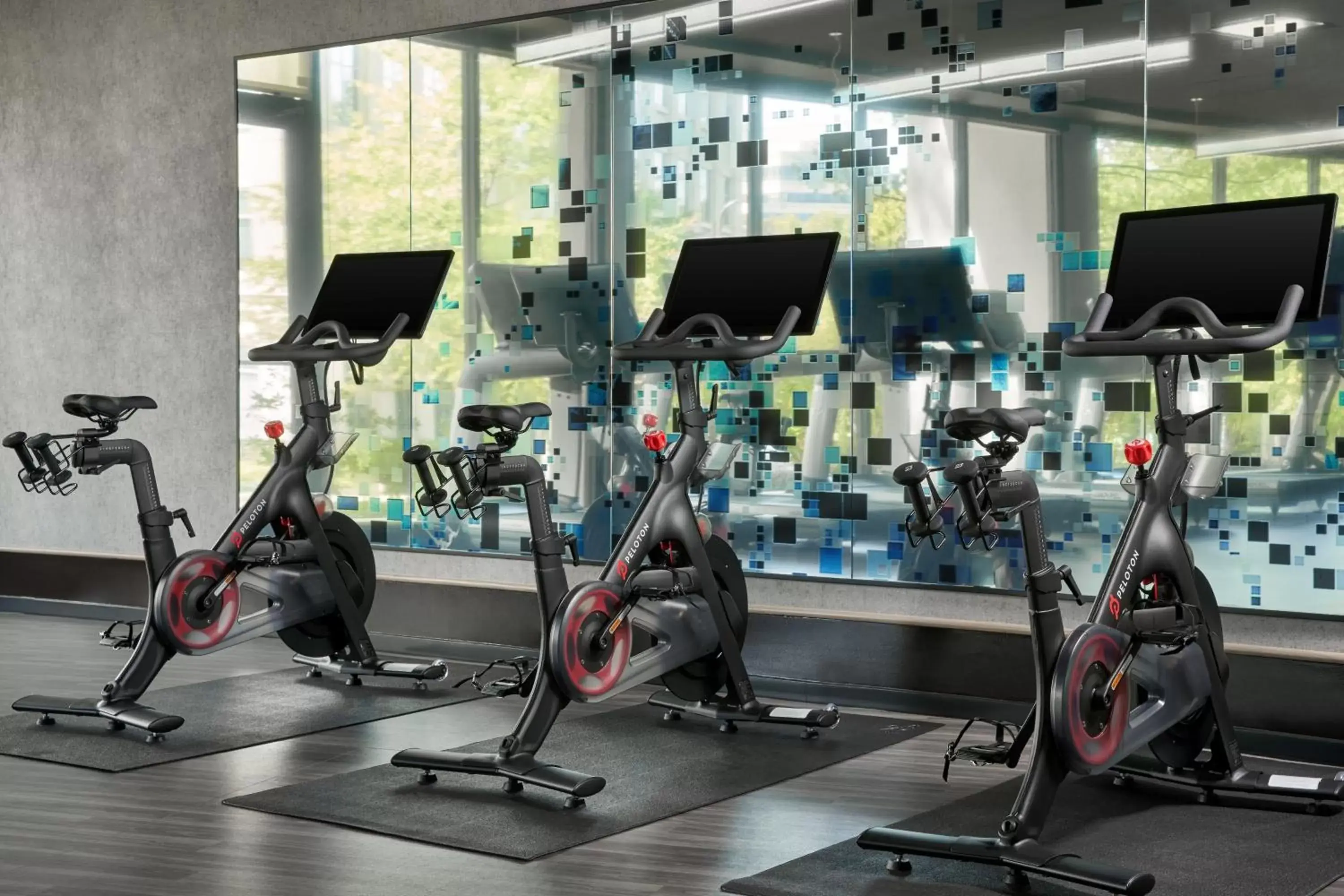 Fitness centre/facilities, Fitness Center/Facilities in Sheraton Reston