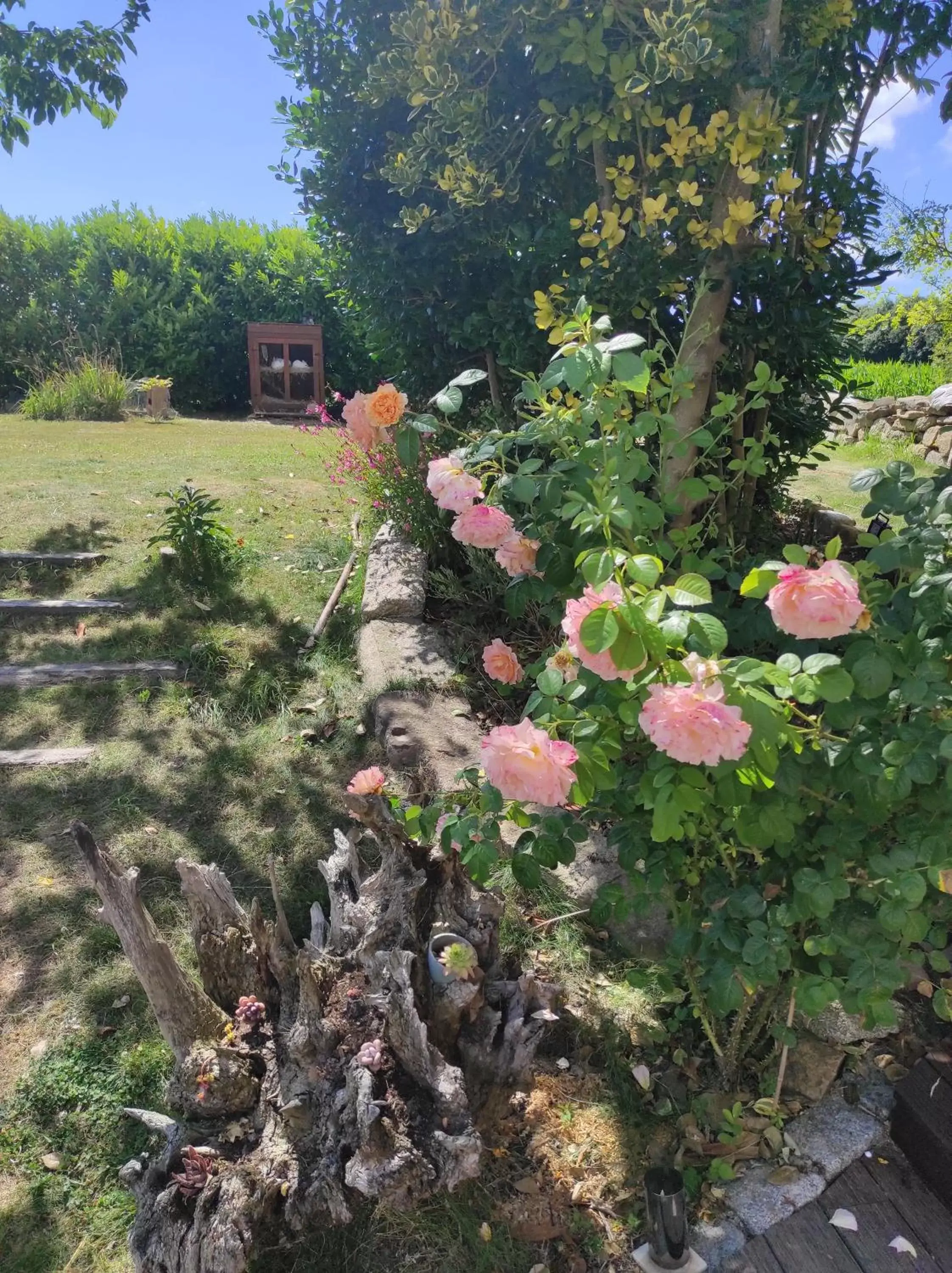 Garden view, Garden in La ville es riez