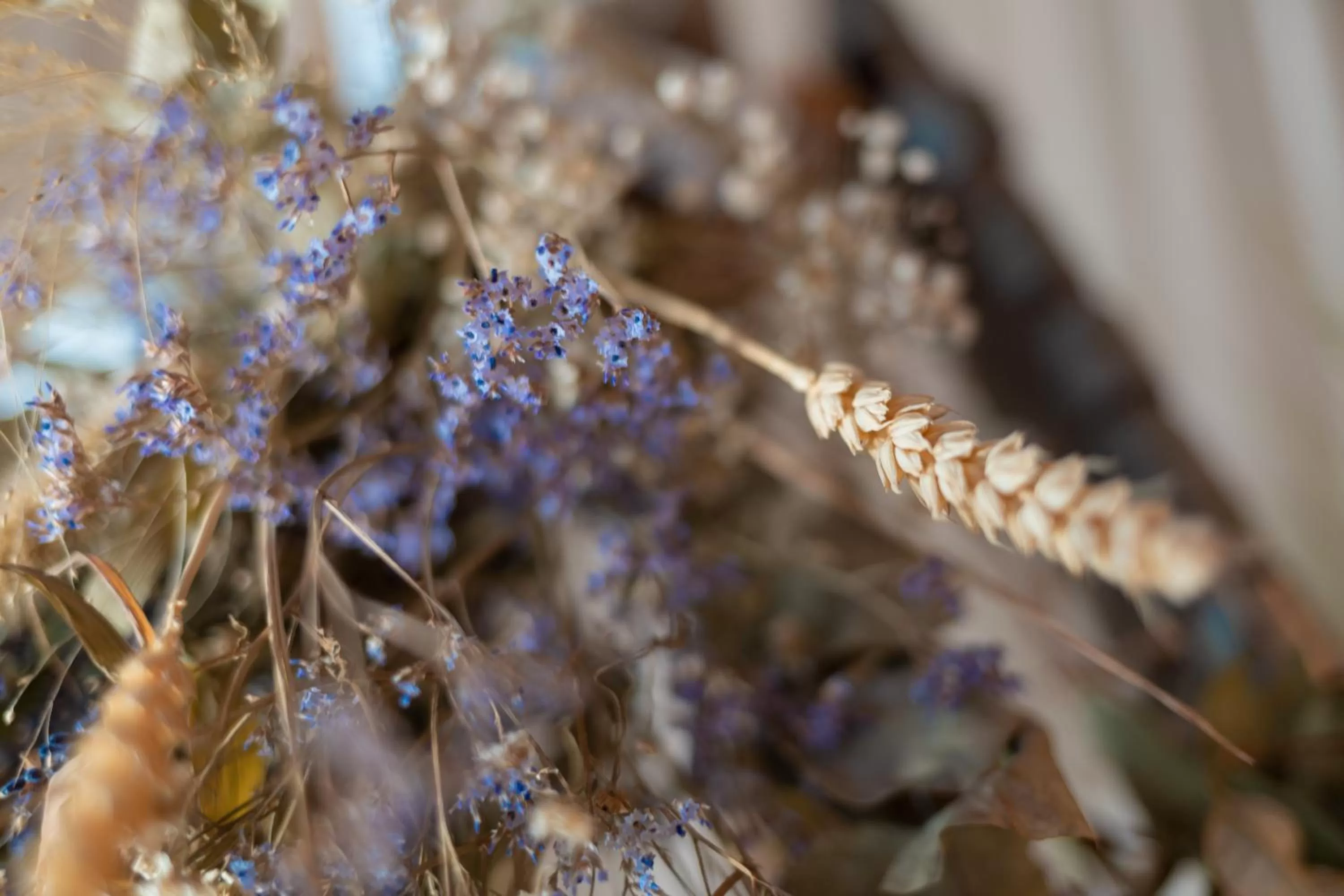 Spring in Borghetto San Biagio Relais Agriturismo