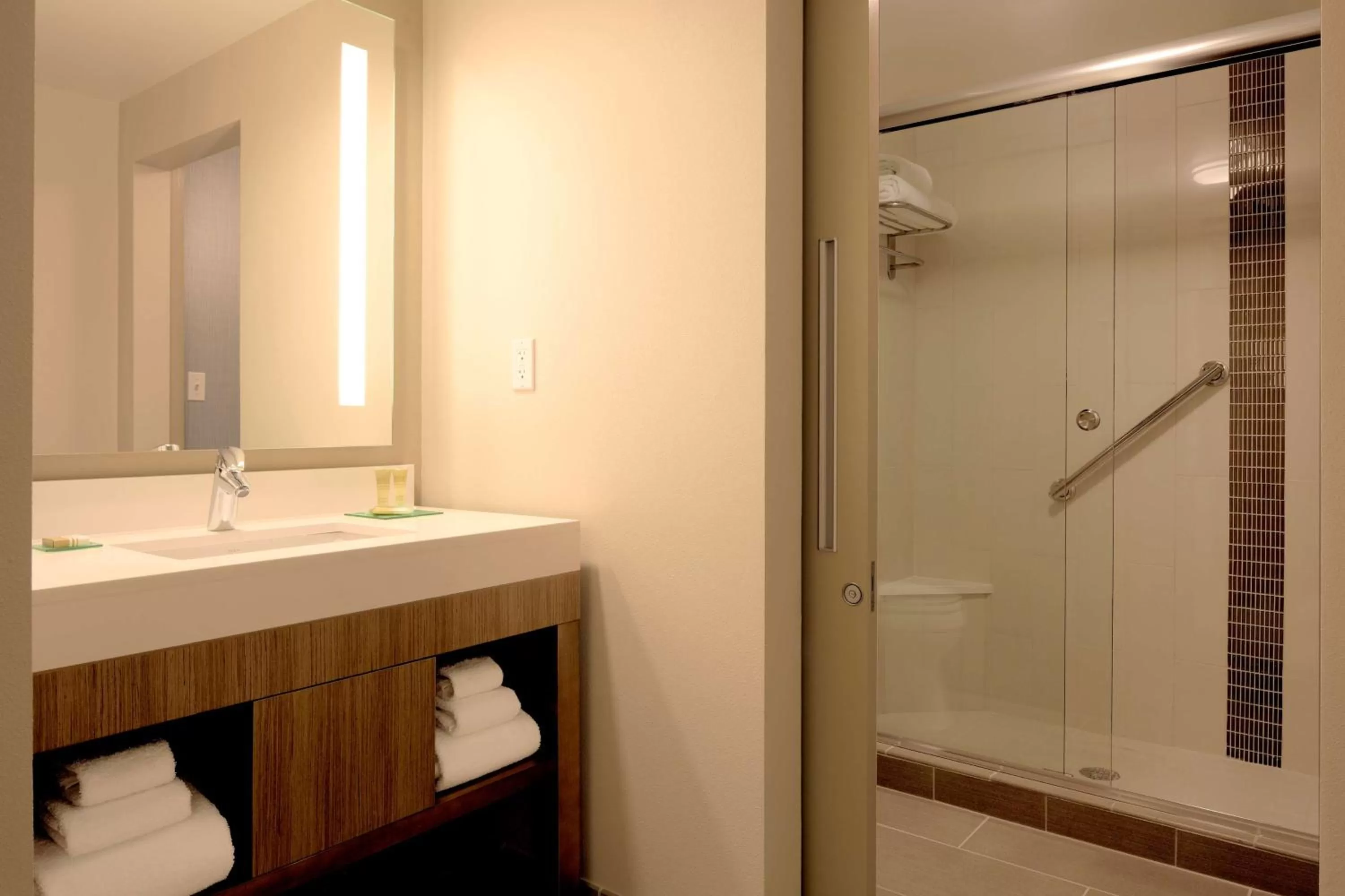 Bathroom in Hyatt Place Detroit/Royal Oak
