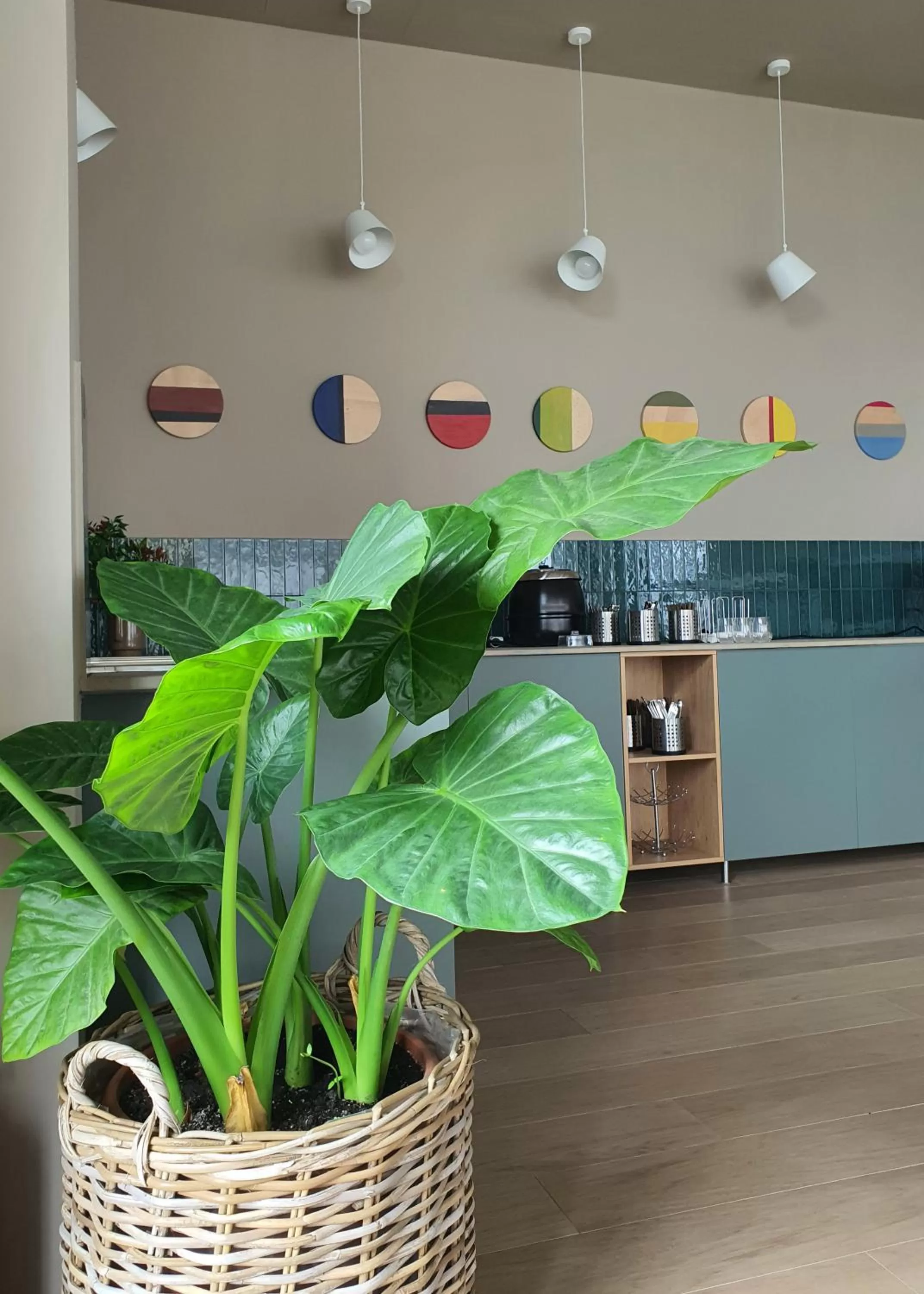 Restaurant/places to eat in Marida Hotel