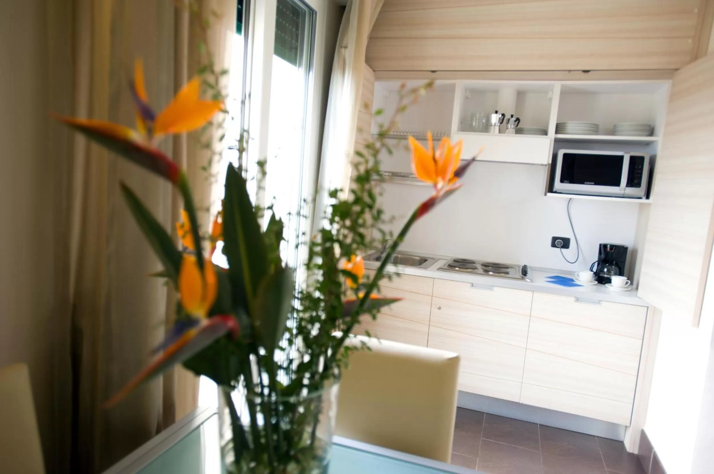 Kitchen or kitchenette in Excelsior Hotel E Appartamenti