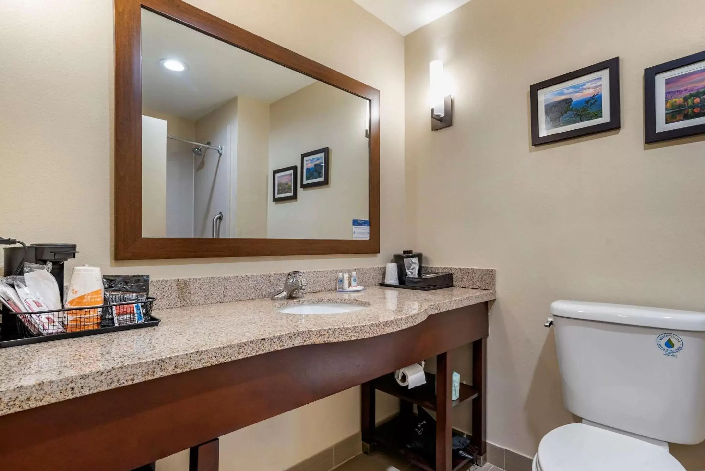 Bathroom in Comfort Suites Pell City I-20 exit 158