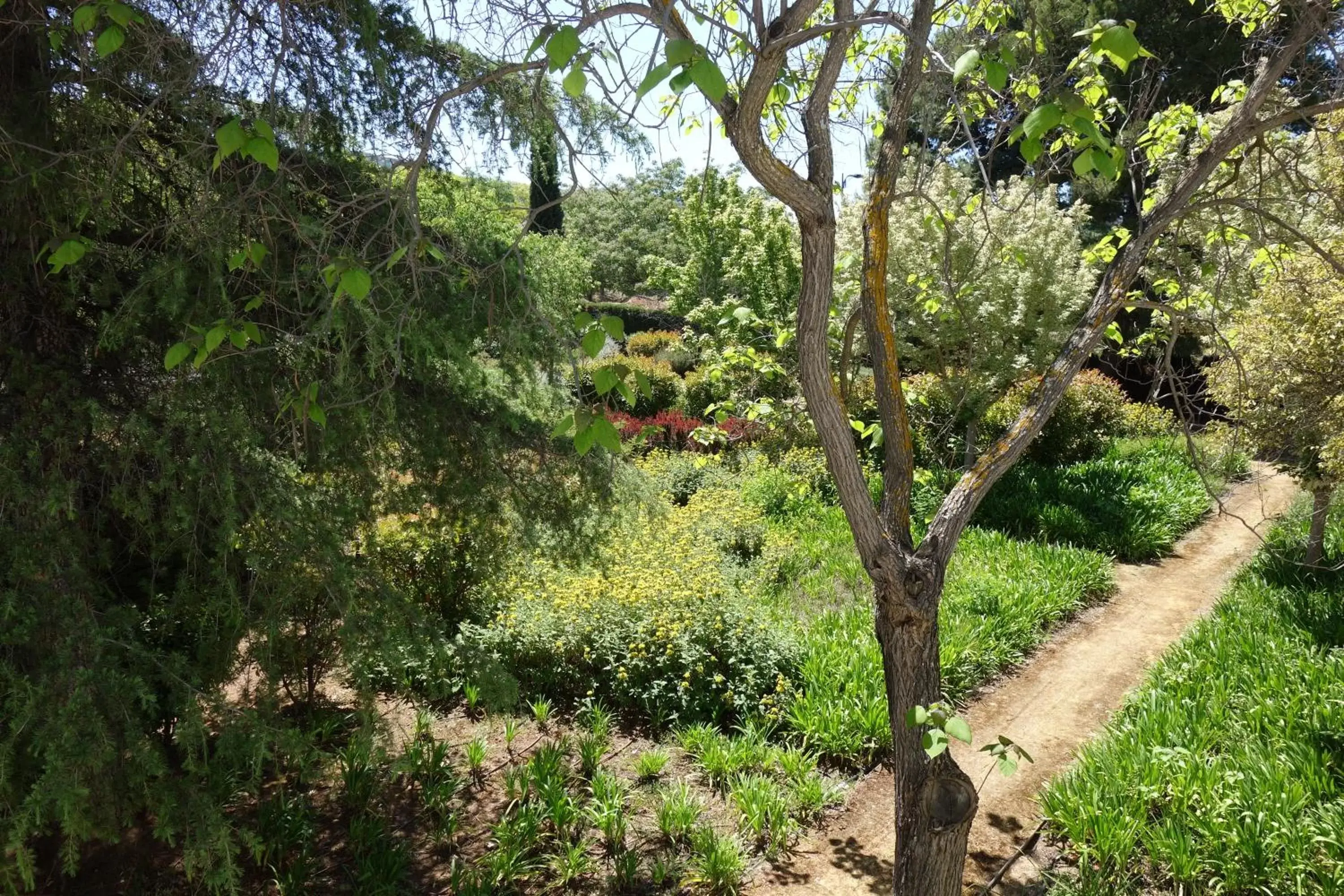 Garden in Parador de Antequera