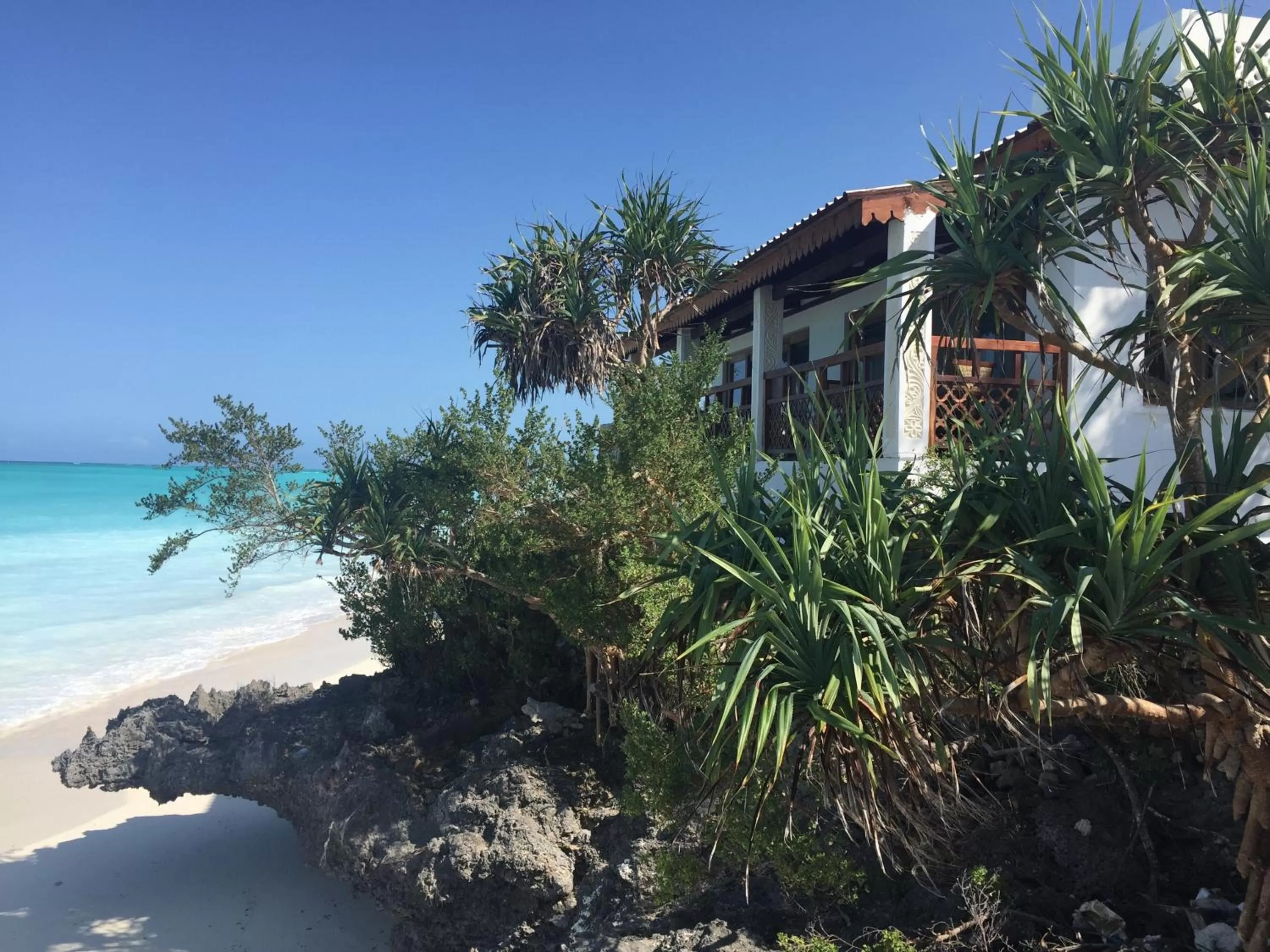 Property building in Warere Beach