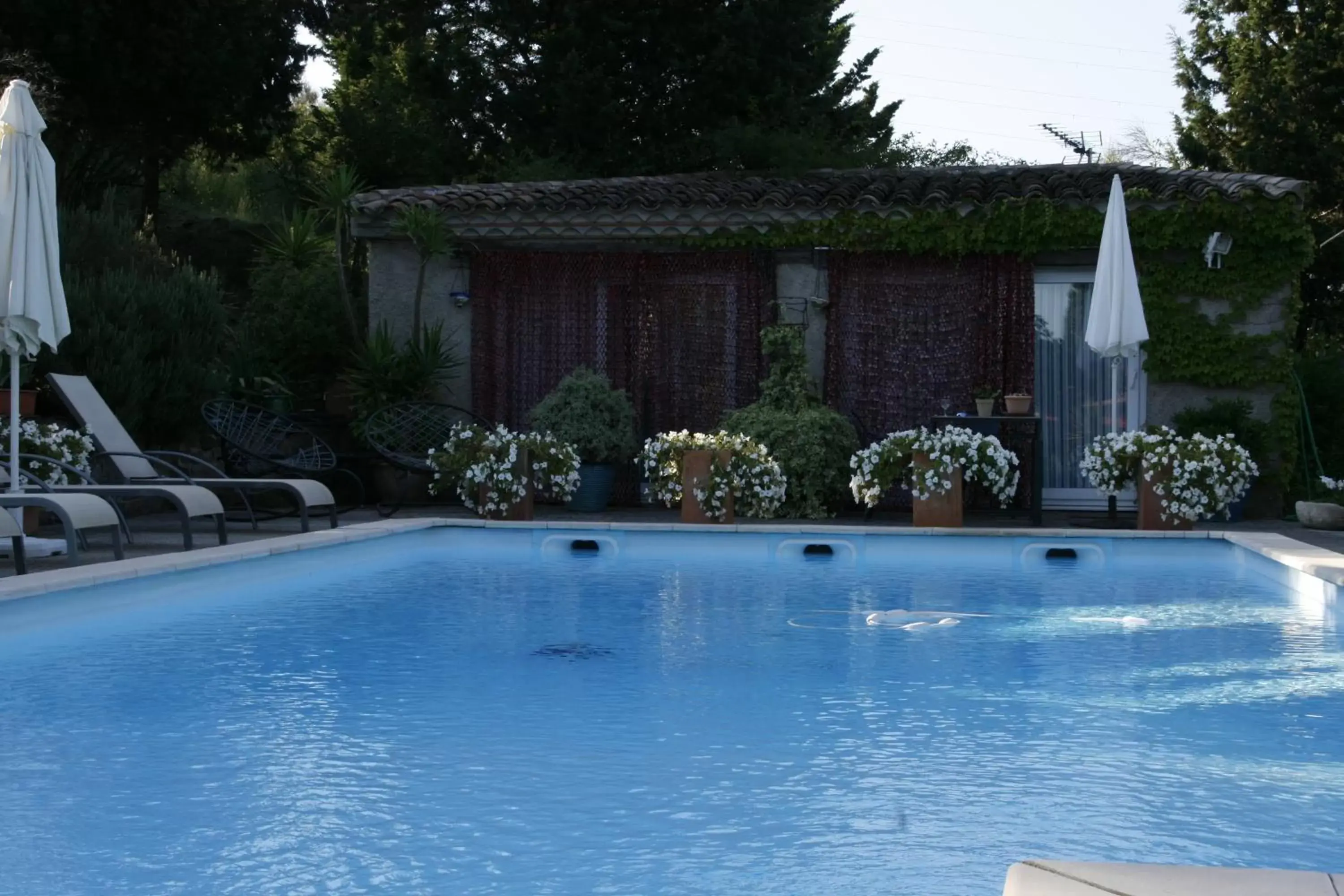 Swimming Pool in La Maison sur la Colline